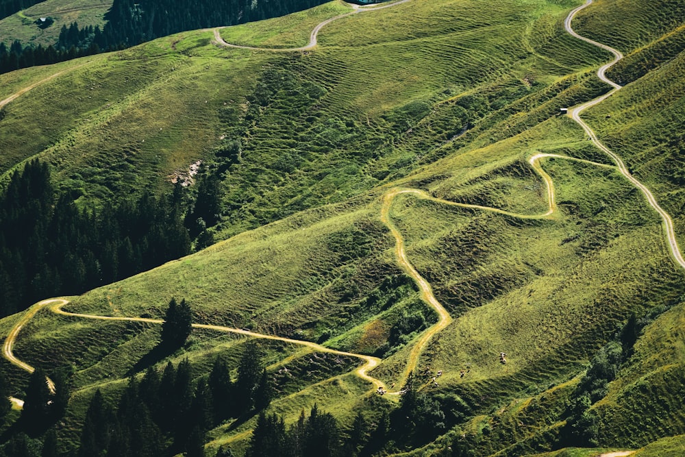 a winding road in the middle of a lush green hillside