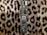 A computer motherboard with visible electronic components including a central A6X chip. The motherboard is positioned on a leopard print fabric background.