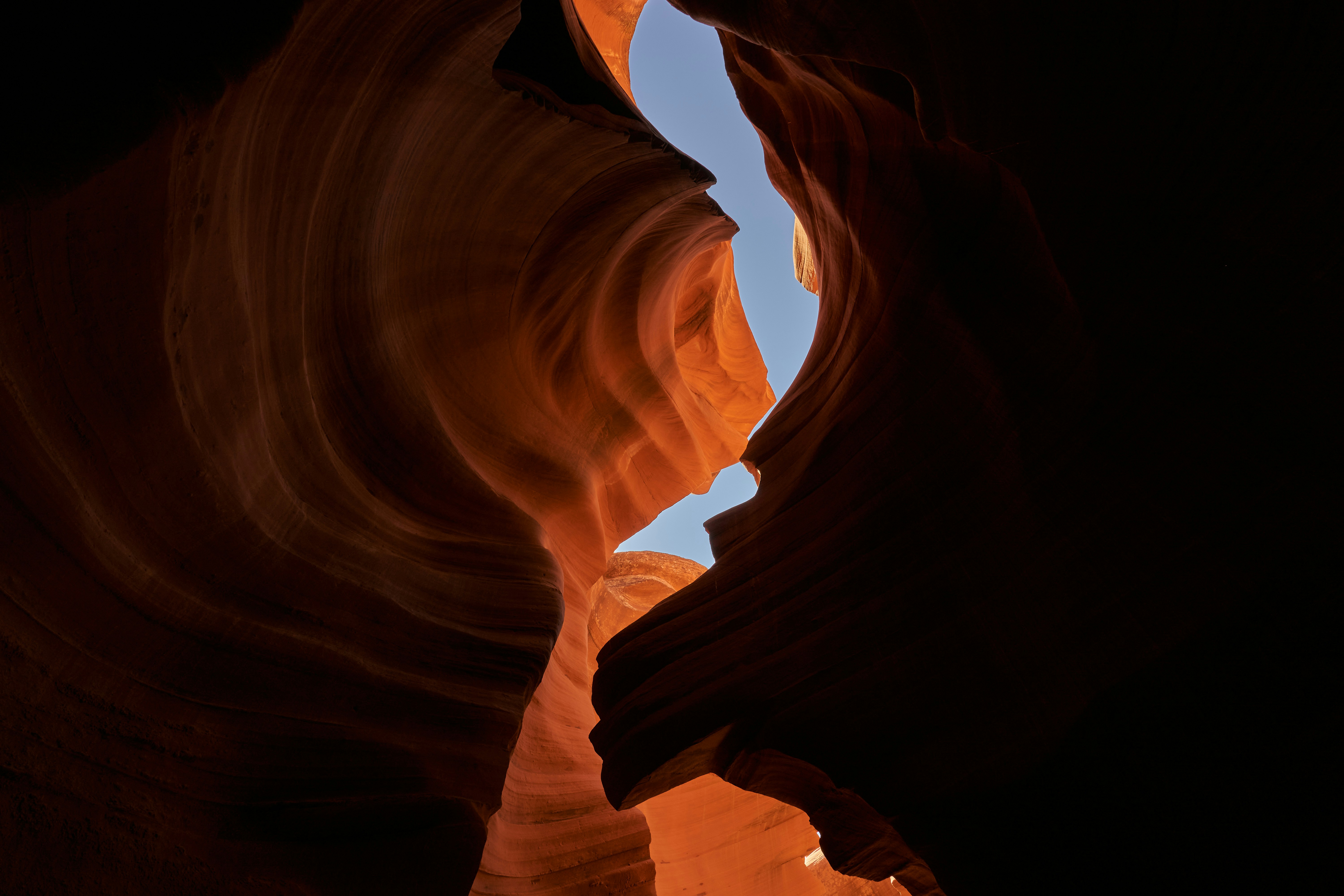 Photo by doctortinieblas