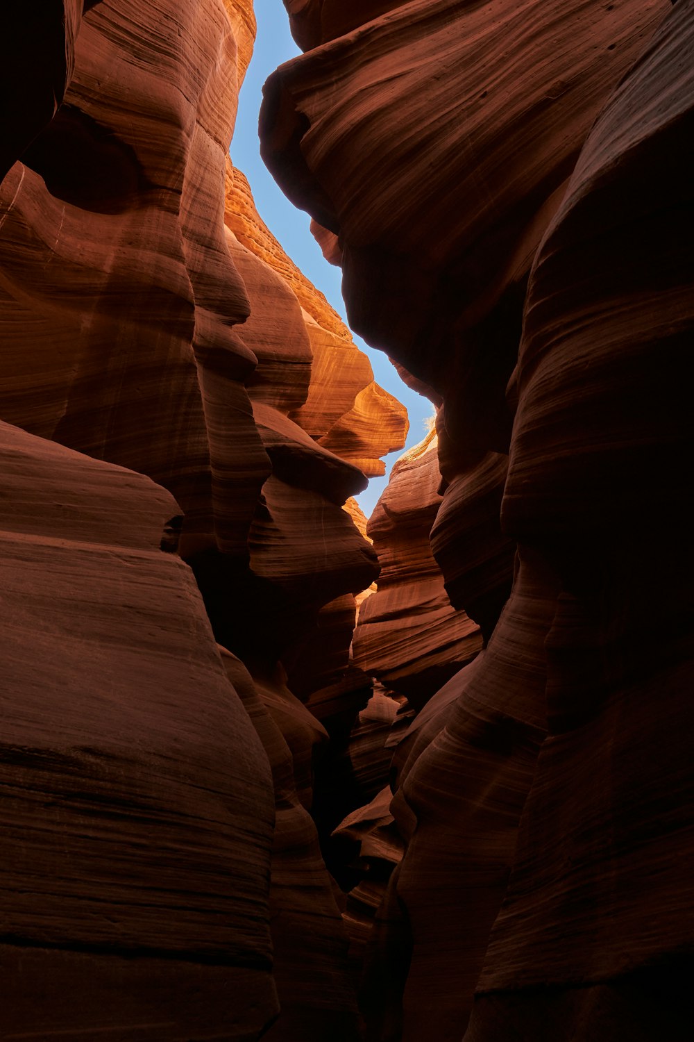 a narrow slot in the side of a rock formation