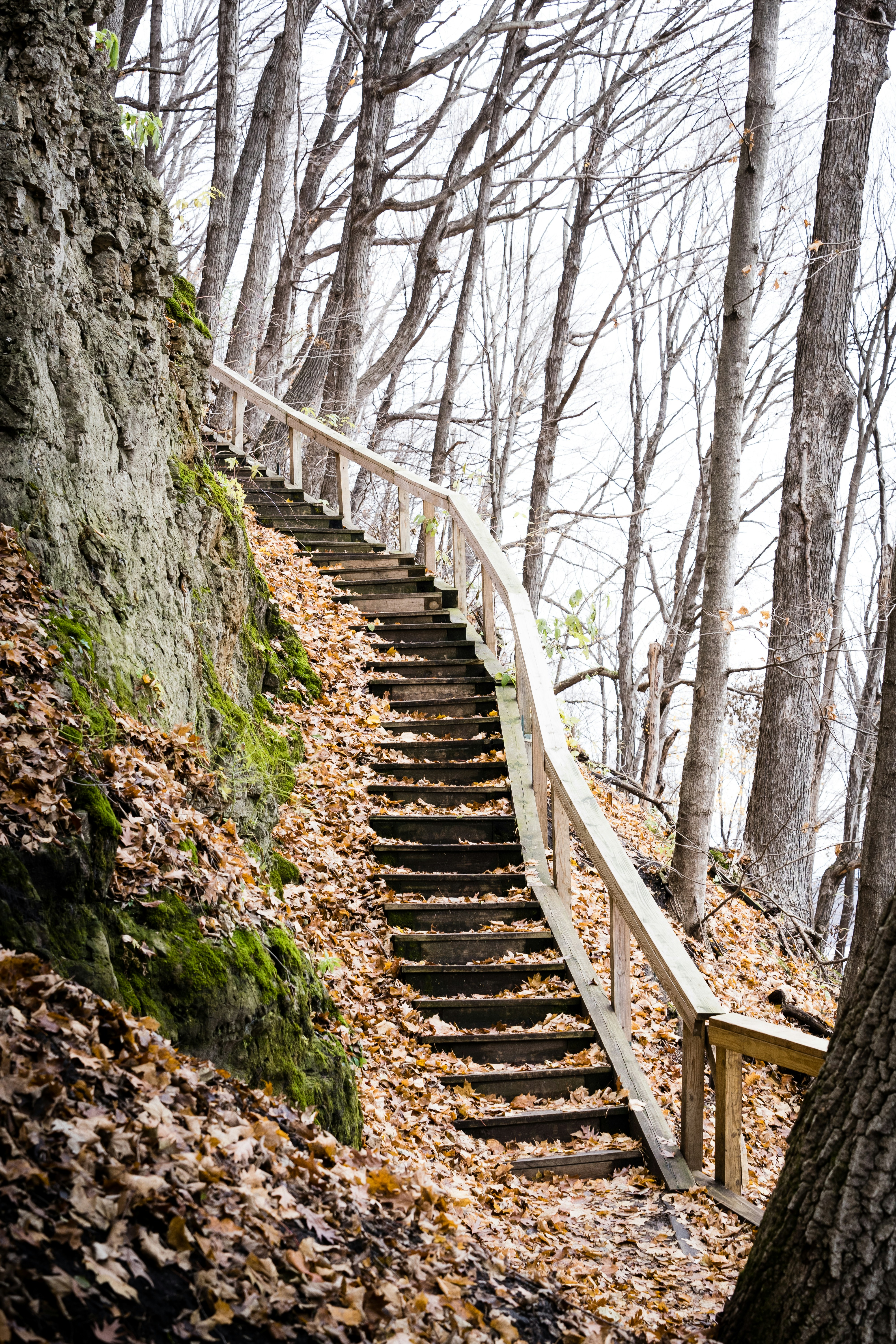 Photo by cole_wyland_24