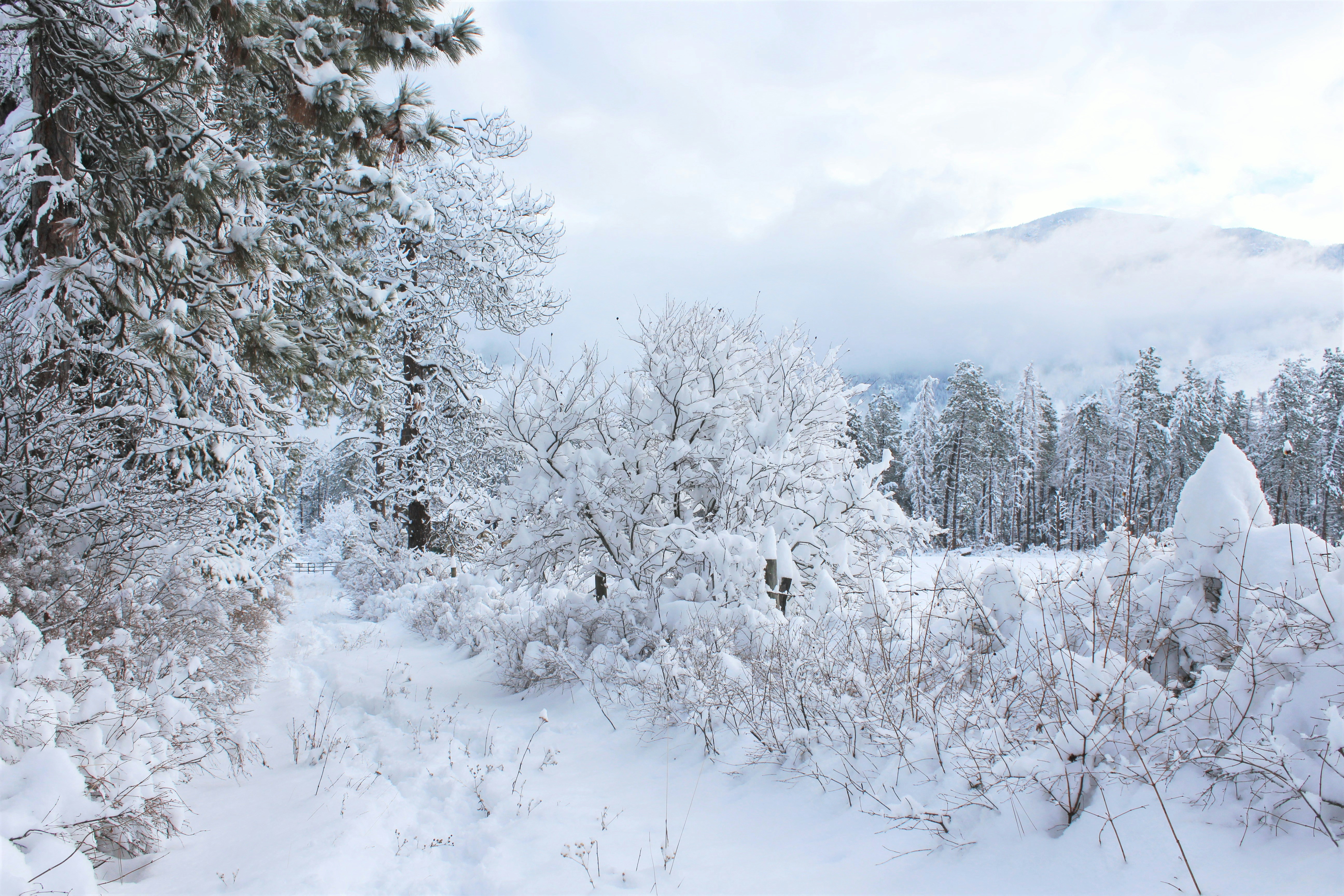 Photo by frozenmoments