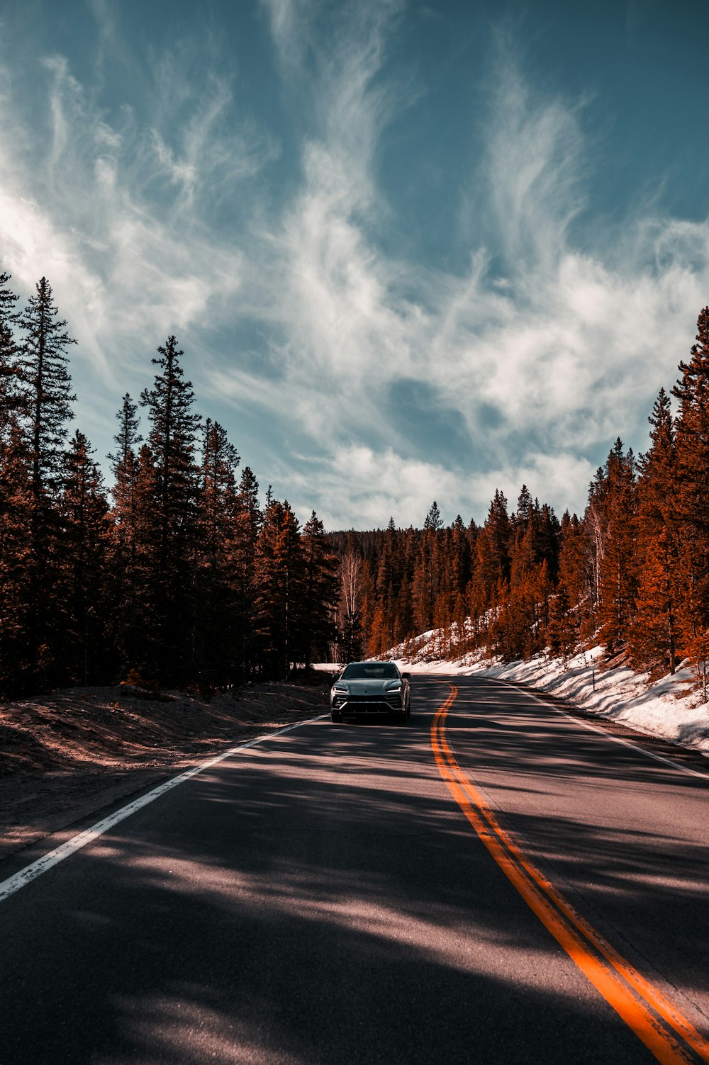 a car driving down a road surrounded by trees