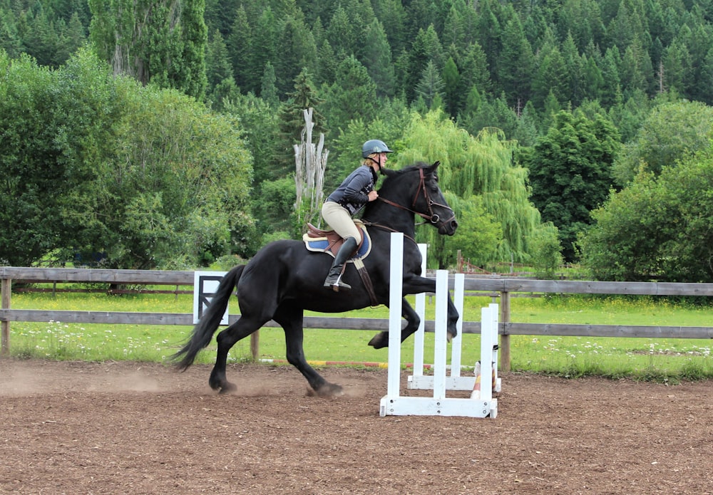a person riding a horse jumping over an obstacle