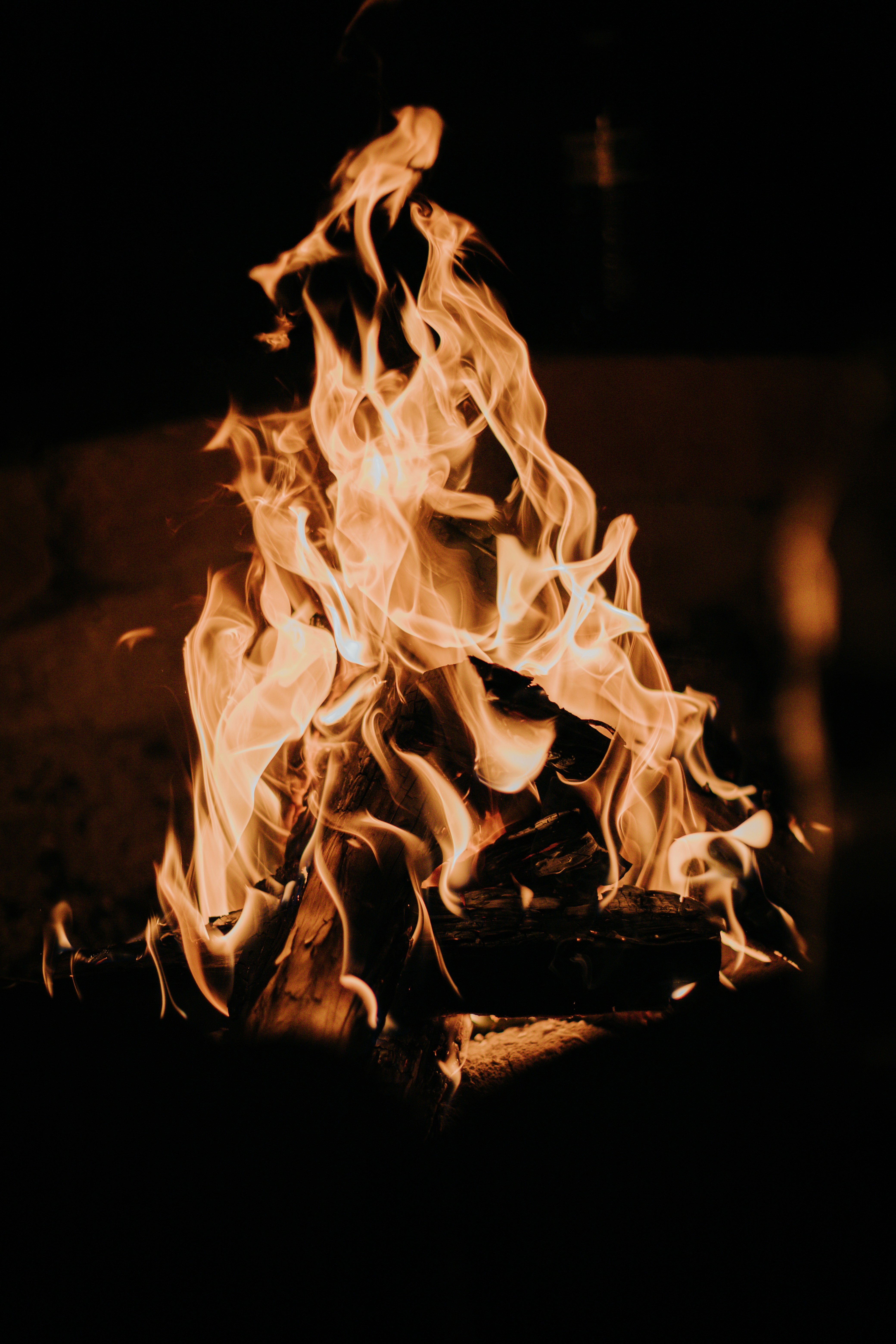 Photo by jeffersonsees