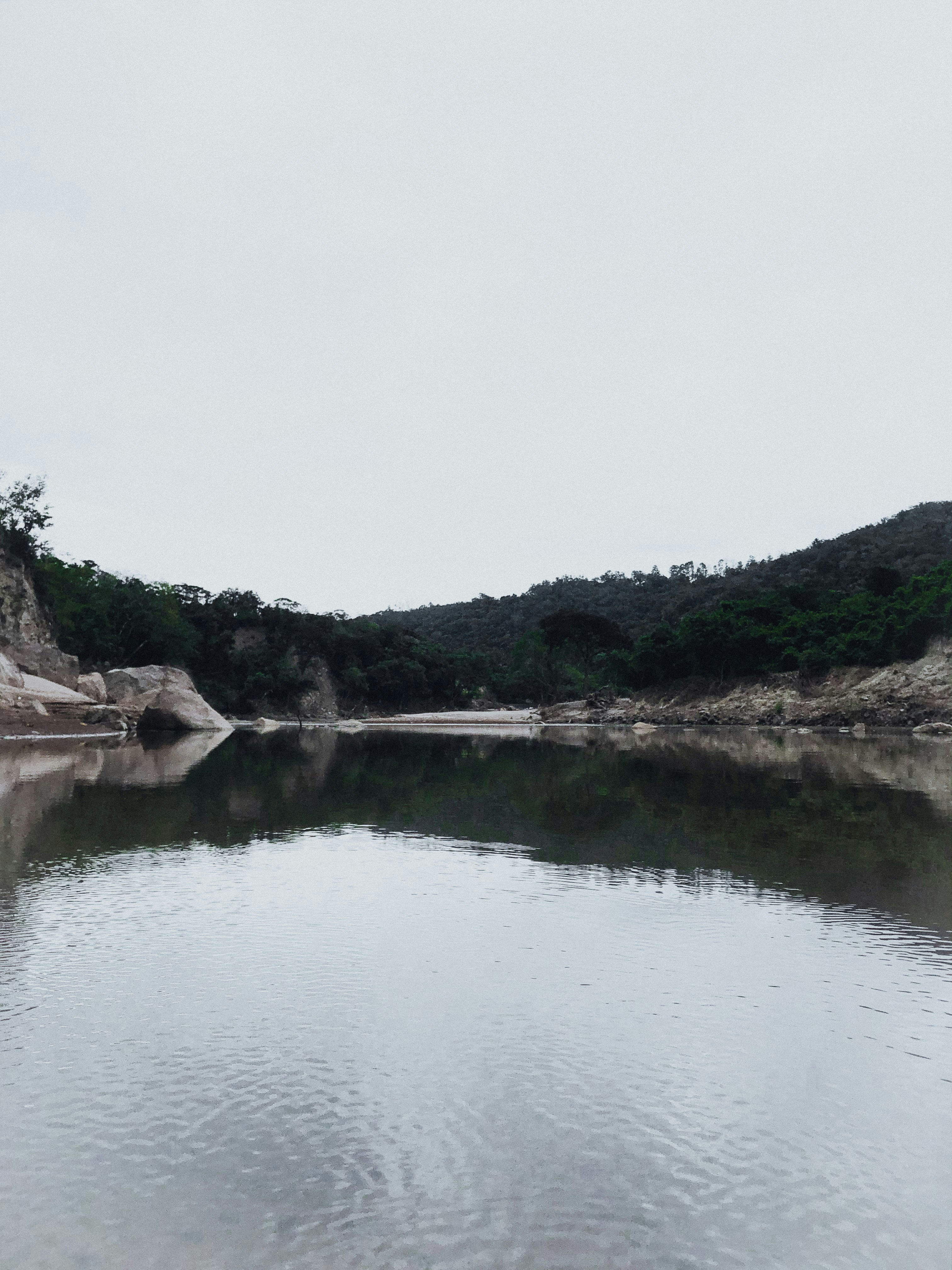 a large body of water surrounded by a forest