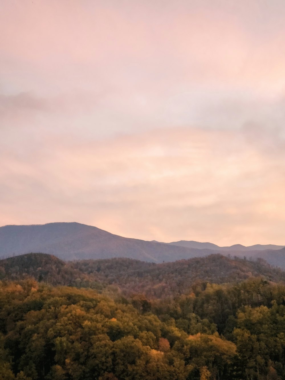 a view of a mountain range with trees in the foreground