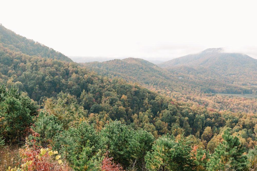 a view of a mountain range with trees in the foreground