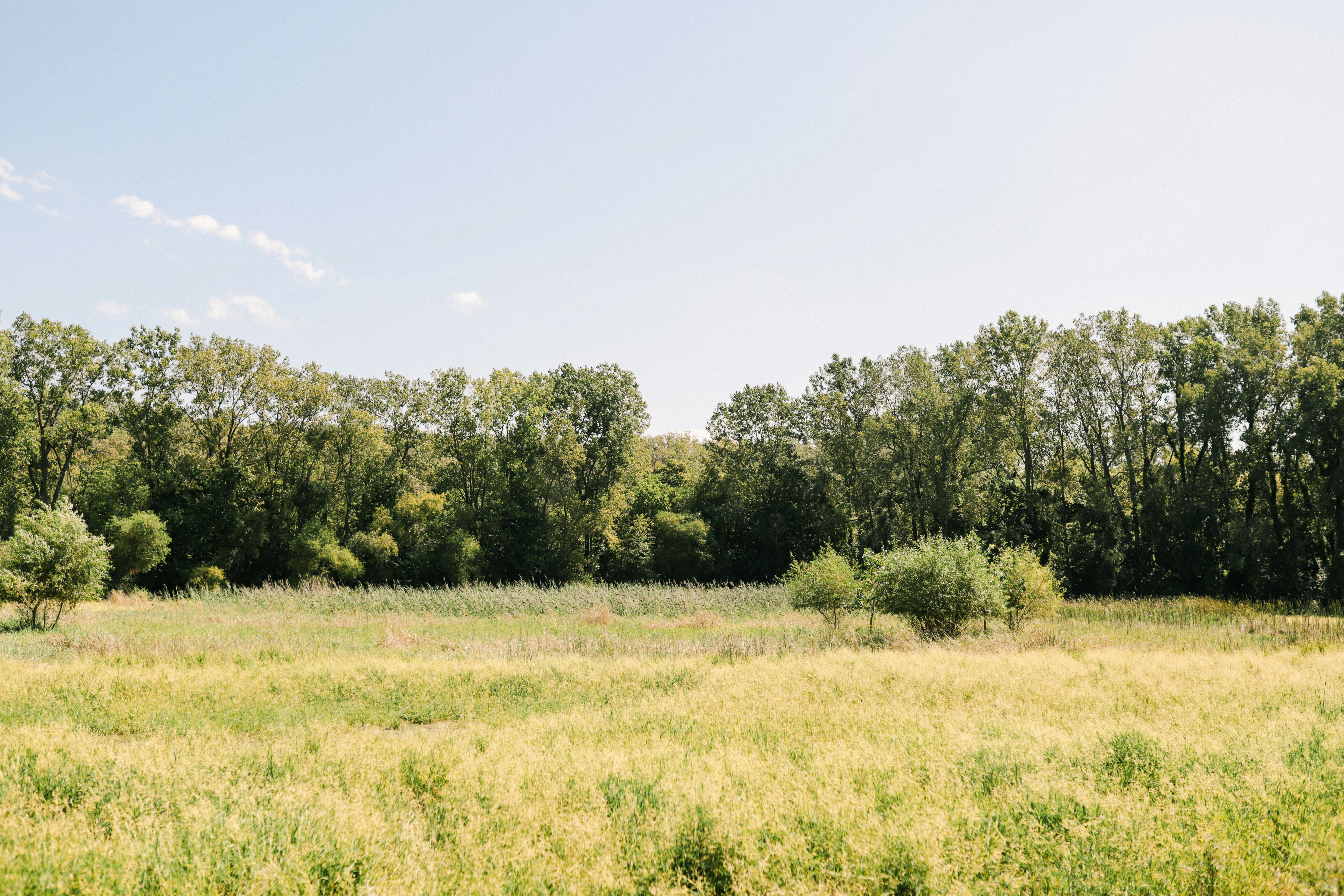 Photo by marissadaeger