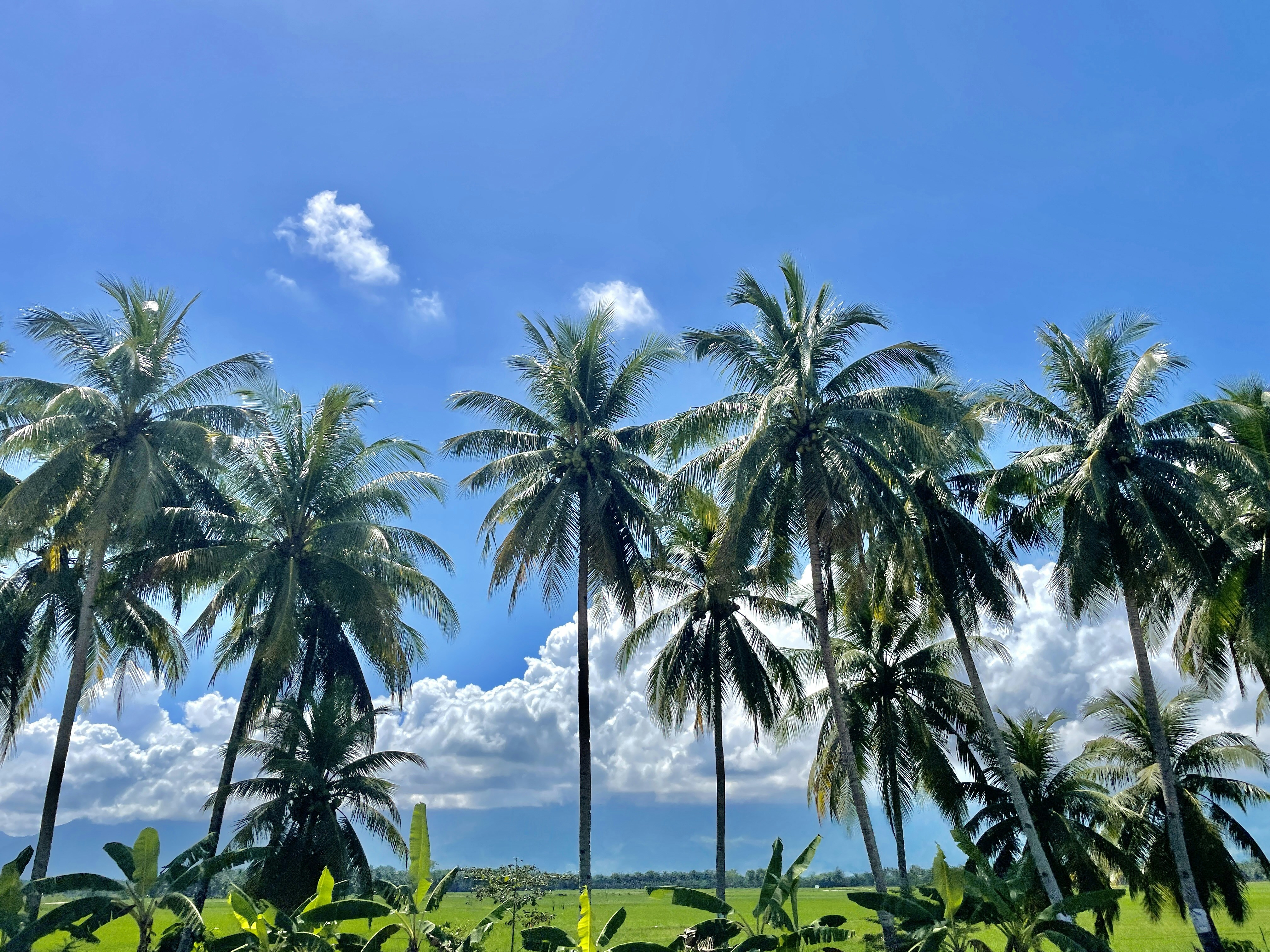 Photo by capturedbynaddy