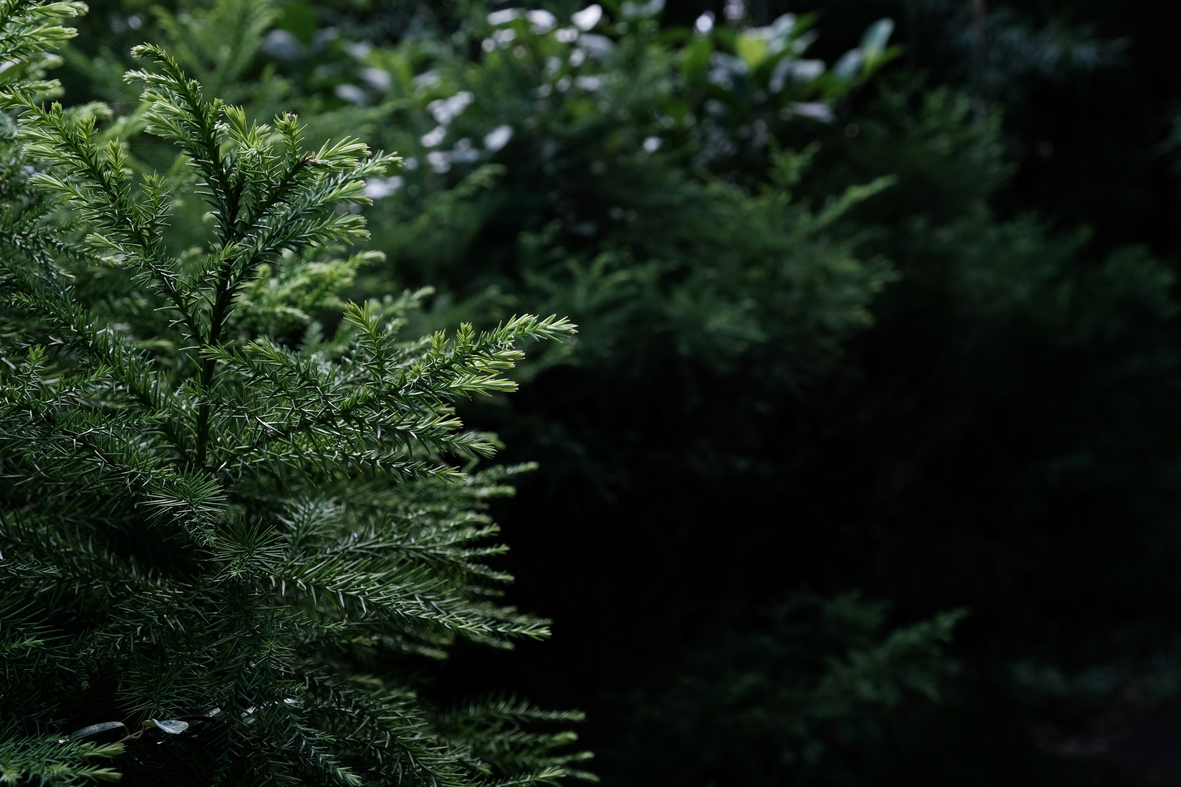 Photo by yamashita0129