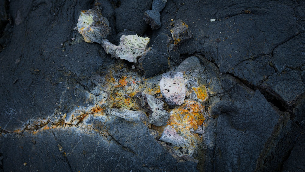 un gros plan d’un rocher avec du lichen dessus