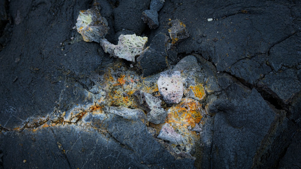 a close up of a rock with lichen on it