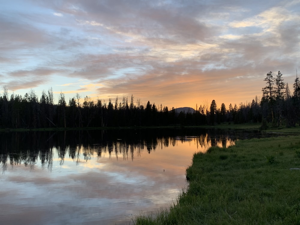 a large body of water