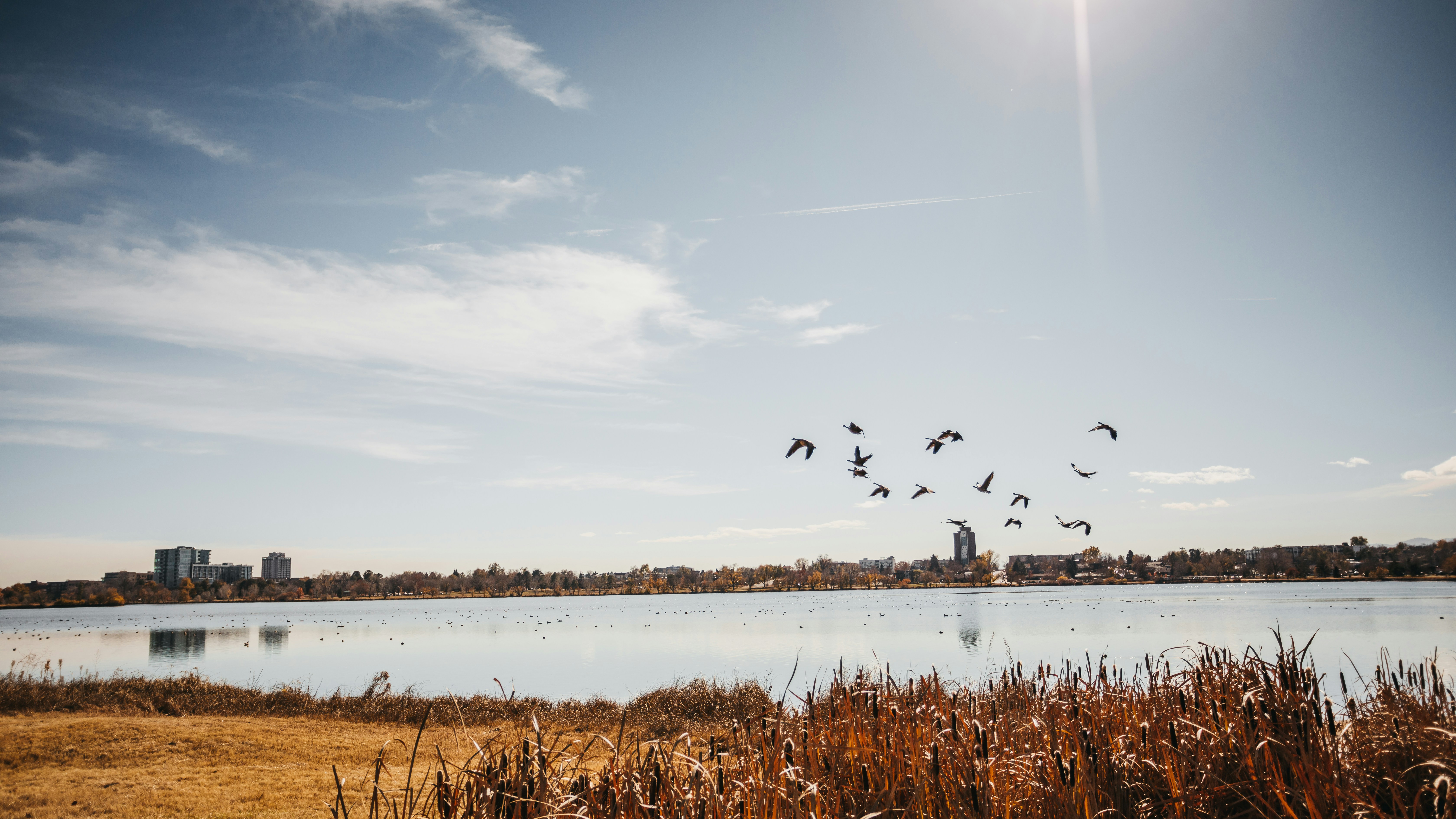 Photo by photosoflogan