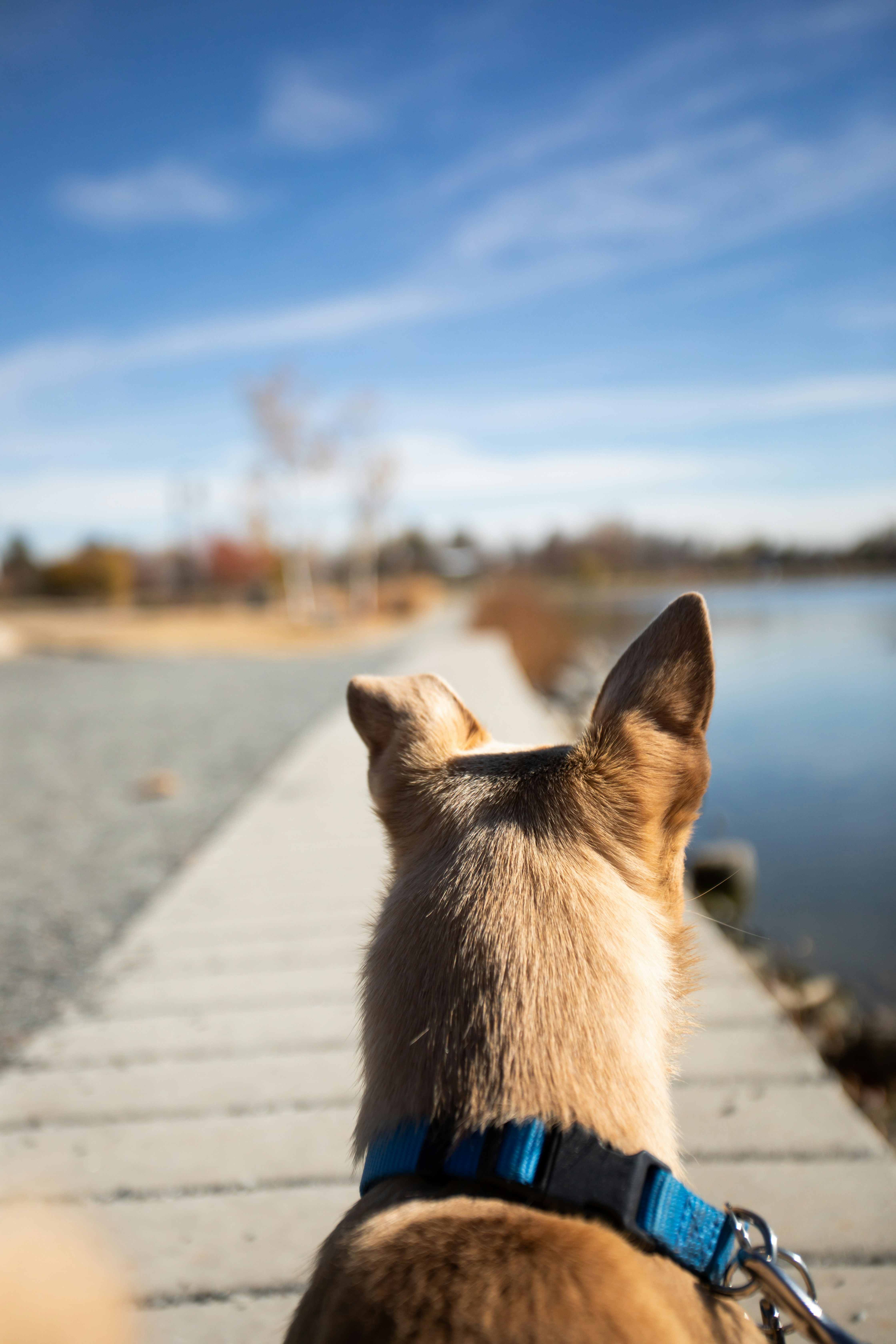 Photo by photosoflogan