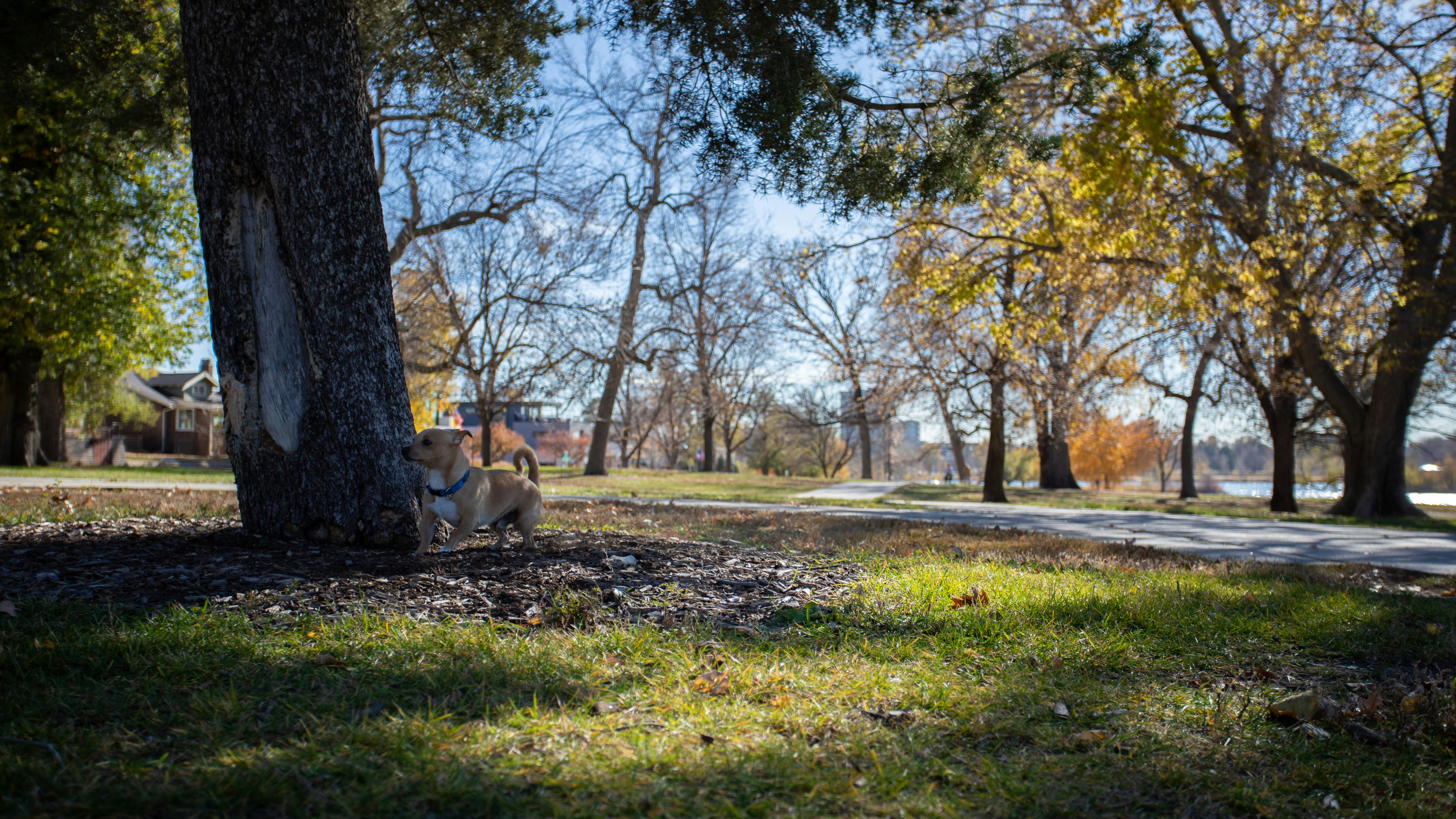 Photo by photosoflogan