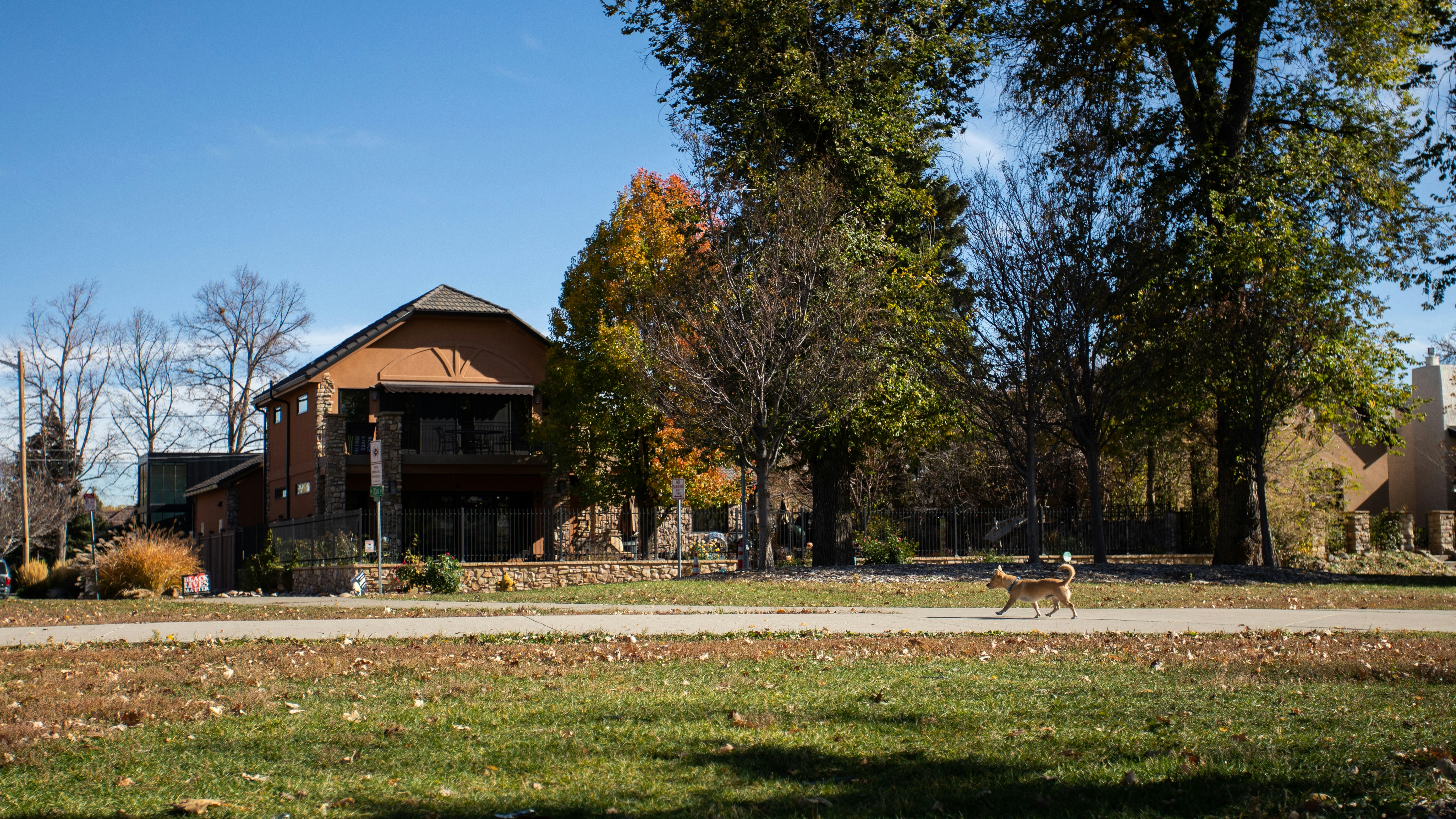 Photo by photosoflogan