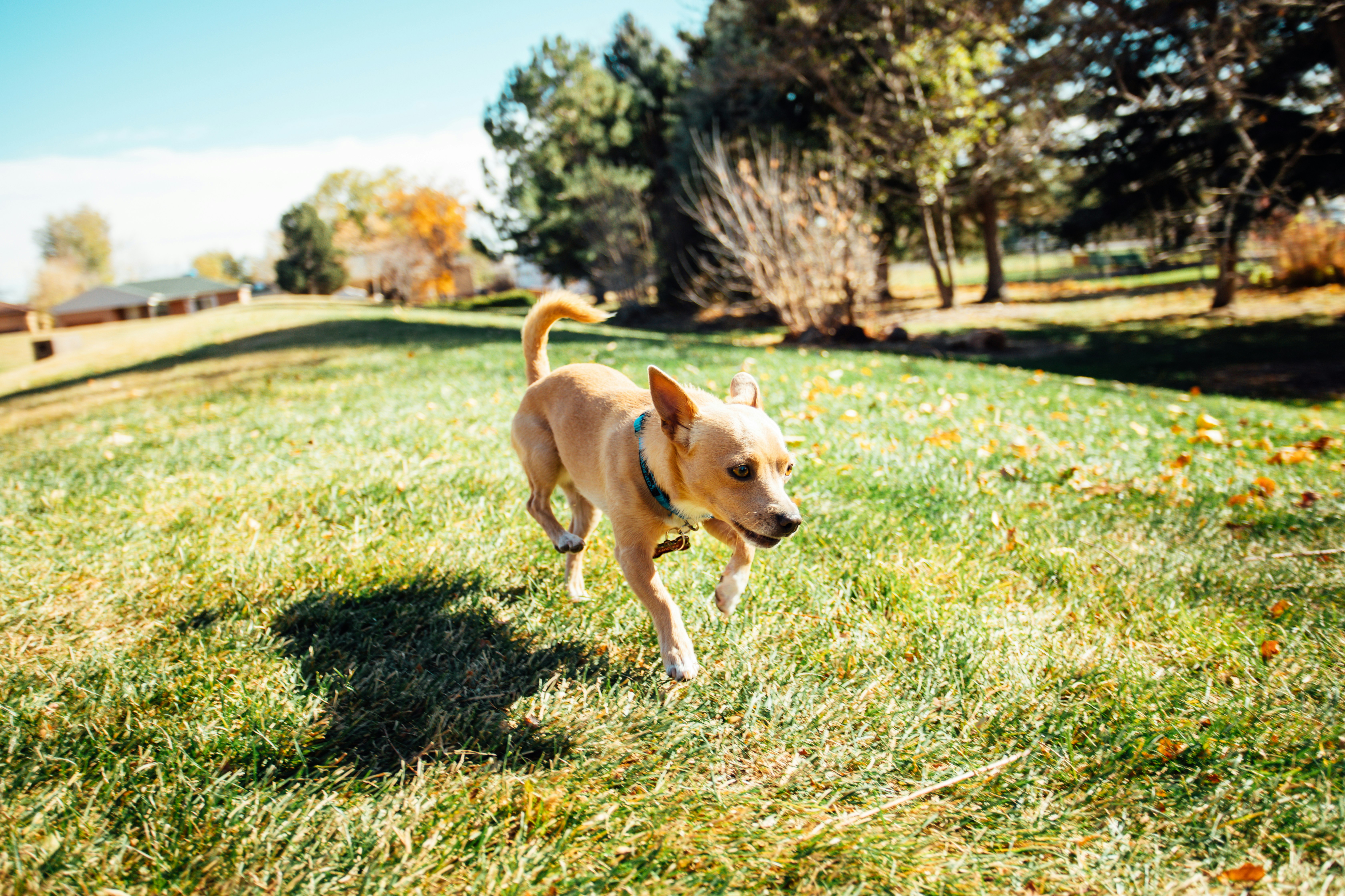 Photo by photosoflogan