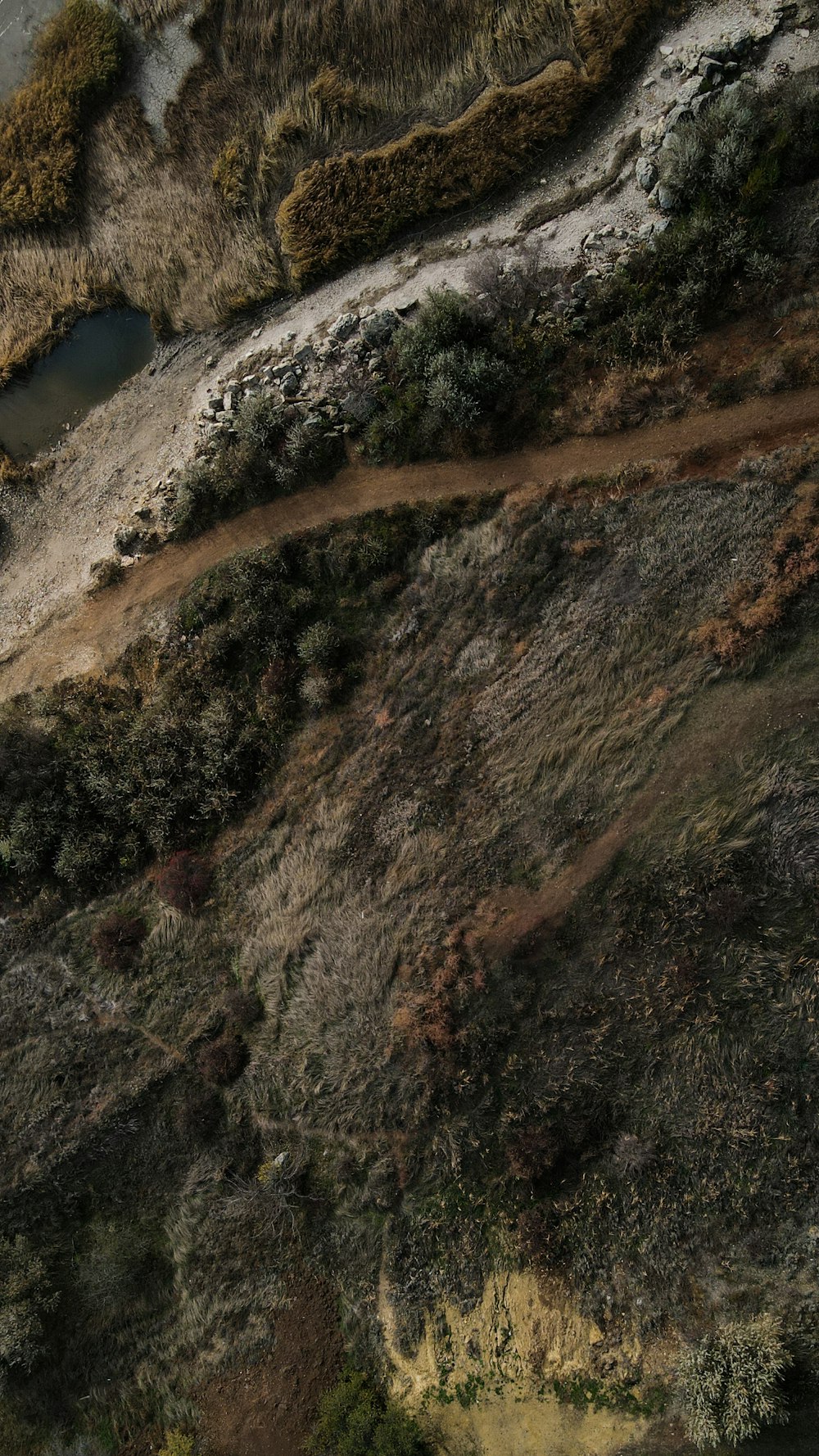 an aerial view of a dirt road in the woods