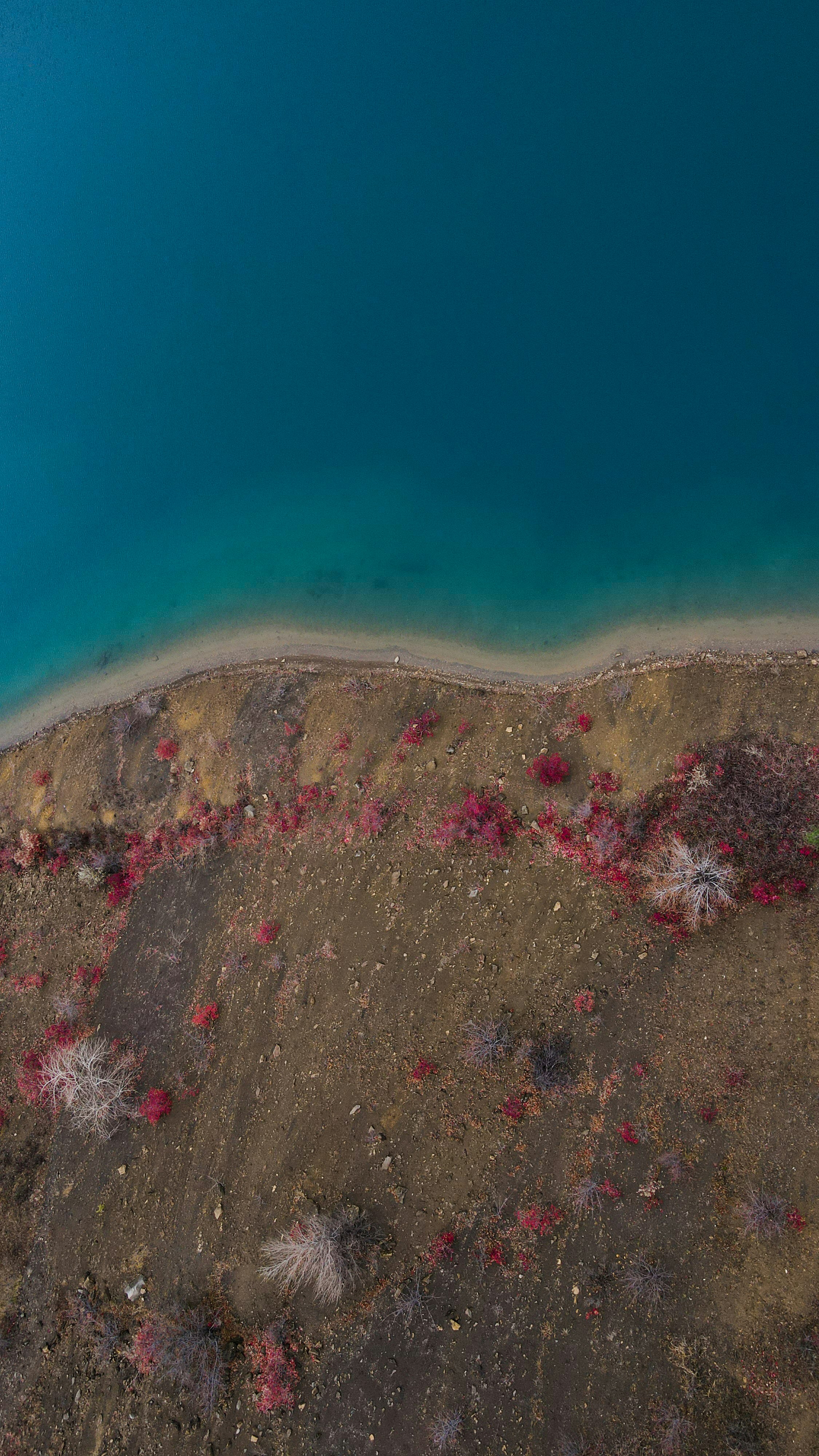 Photo by miklevasilyev