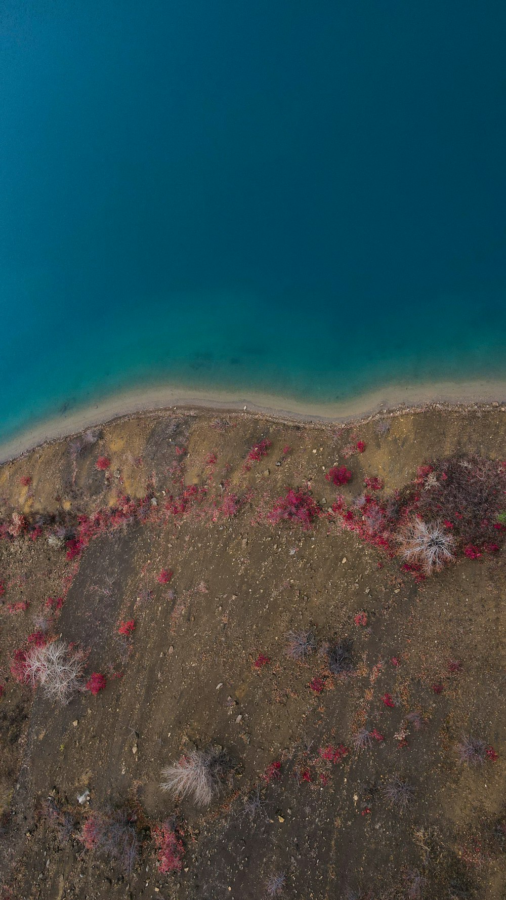 a large body of water surrounded by land