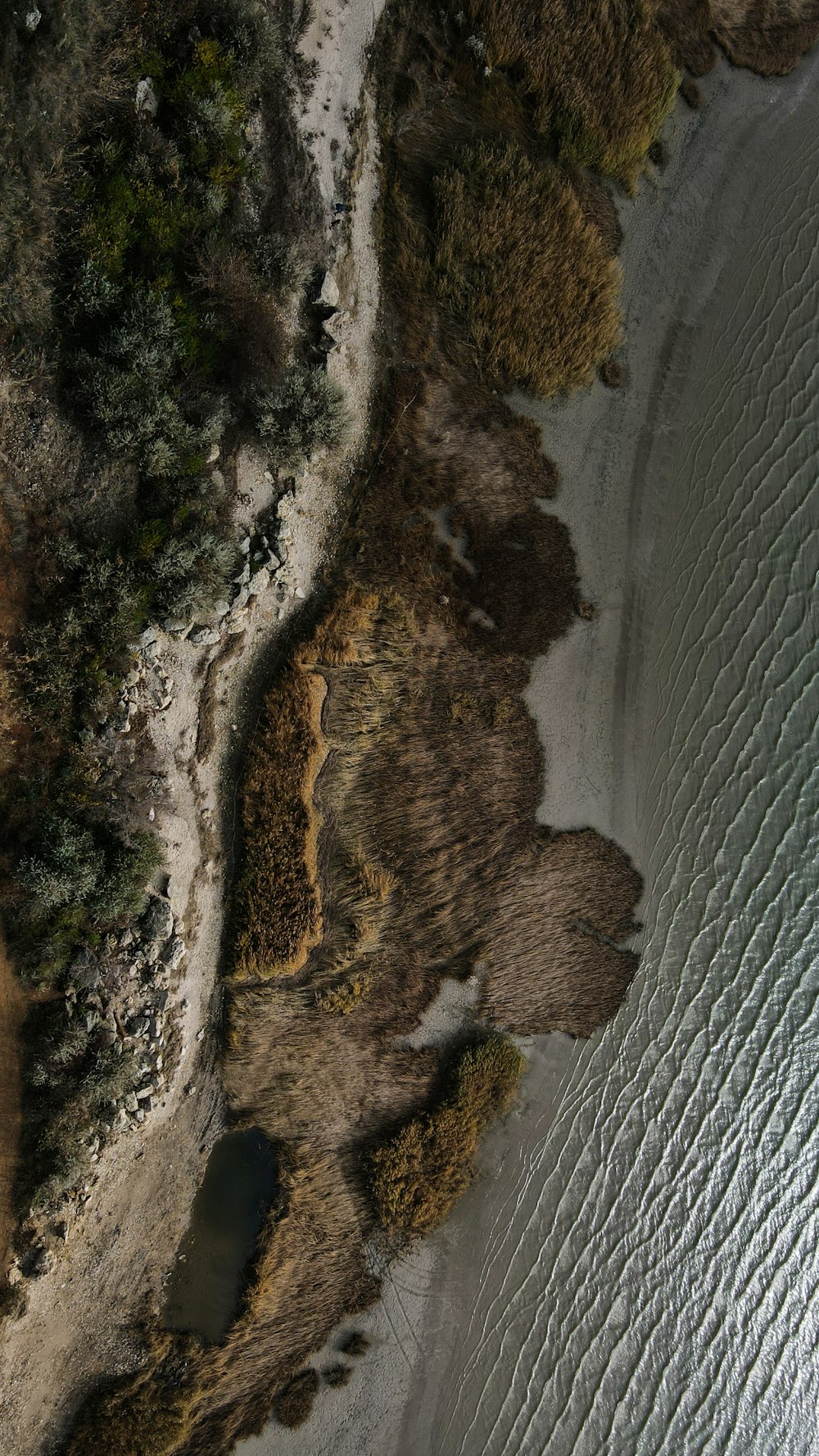 a bird's eye view of a body of water