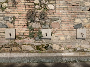 Three water spouts are mounted on a rustic stone and brick wall. Vines and patches of moss grow around the spouts, adding a touch of nature to the scene. Below, a shallow basin catches the water, which ripples with sunlight filtering through.