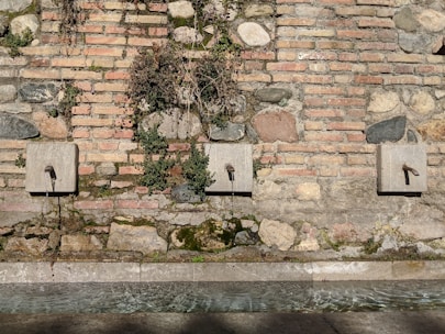 Three water spouts are mounted on a rustic stone and brick wall. Vines and patches of moss grow around the spouts, adding a touch of nature to the scene. Below, a shallow basin catches the water, which ripples with sunlight filtering through.