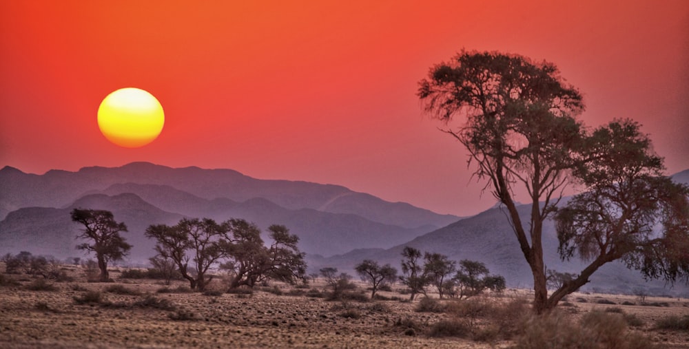 the sun is setting over the mountains in the desert