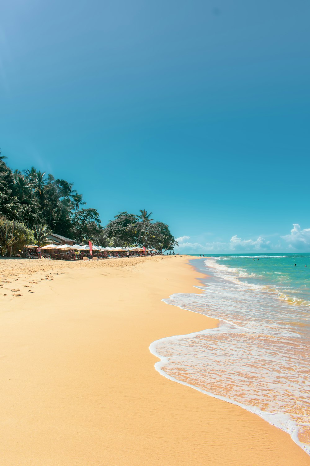 a sandy beach next to the ocean under a blue sky