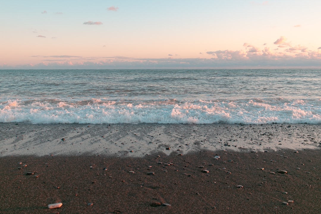 A. Vogel Echinaforce 紫锥菊滴剂的功效