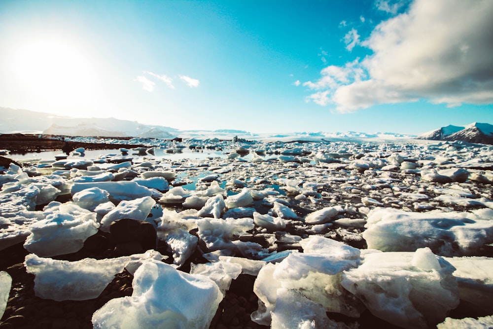 a large amount of ice on the ground