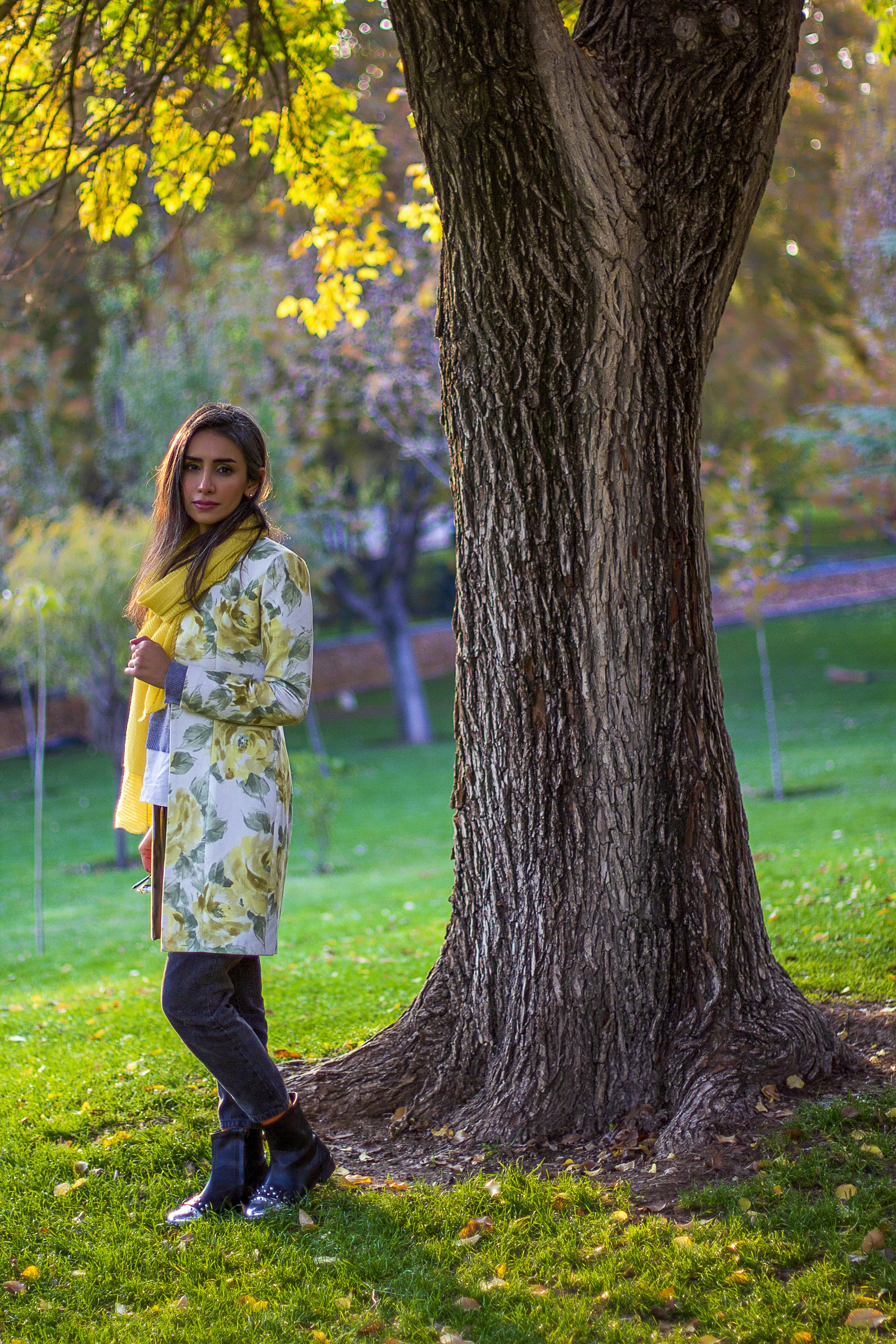 Photo by asalmashkoori