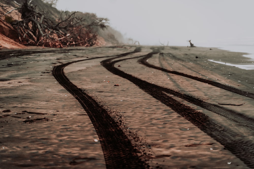 a couple of tracks in the sand on a beach