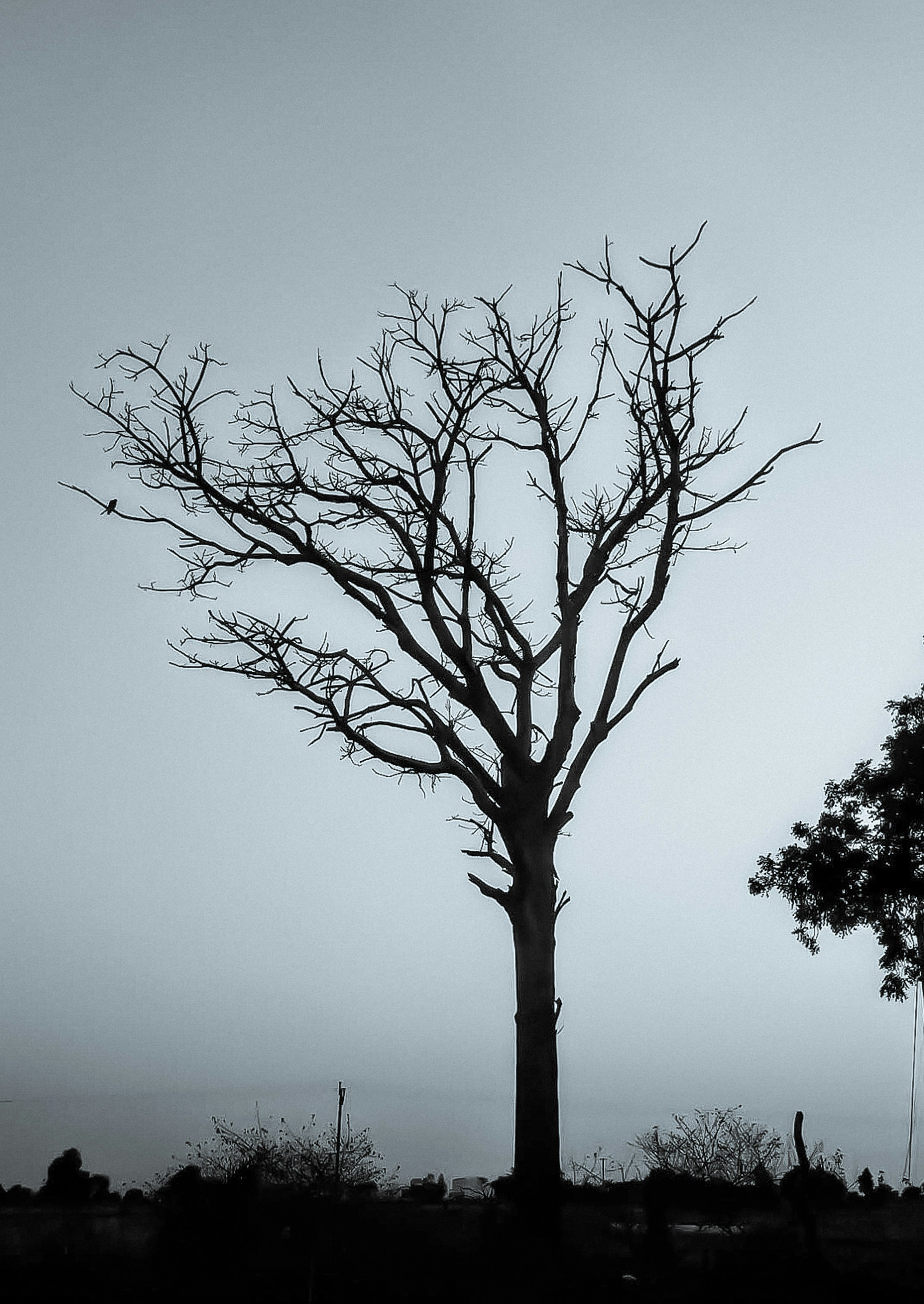 Photo by vik_creatives