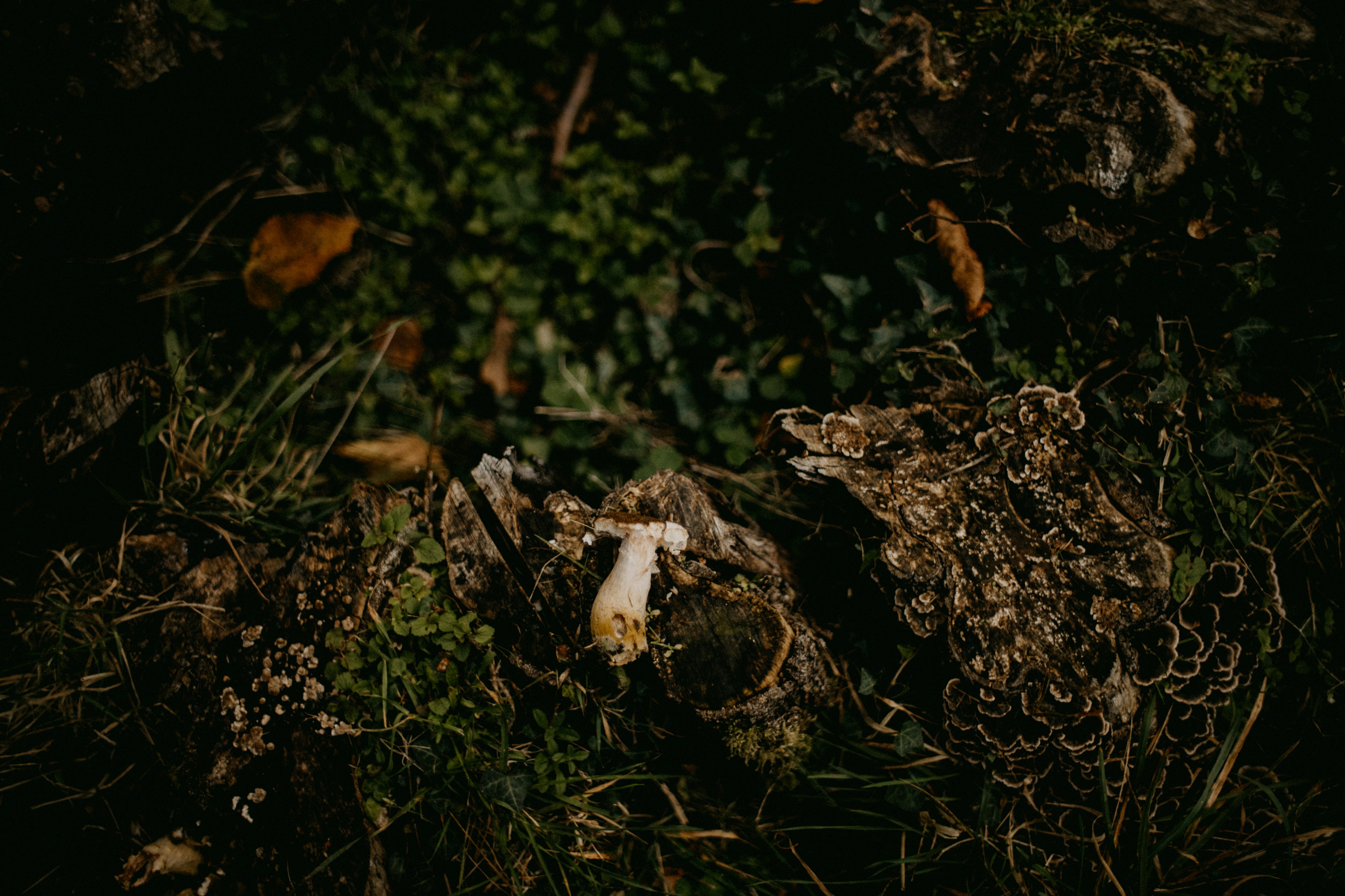 Photo by anniespratt