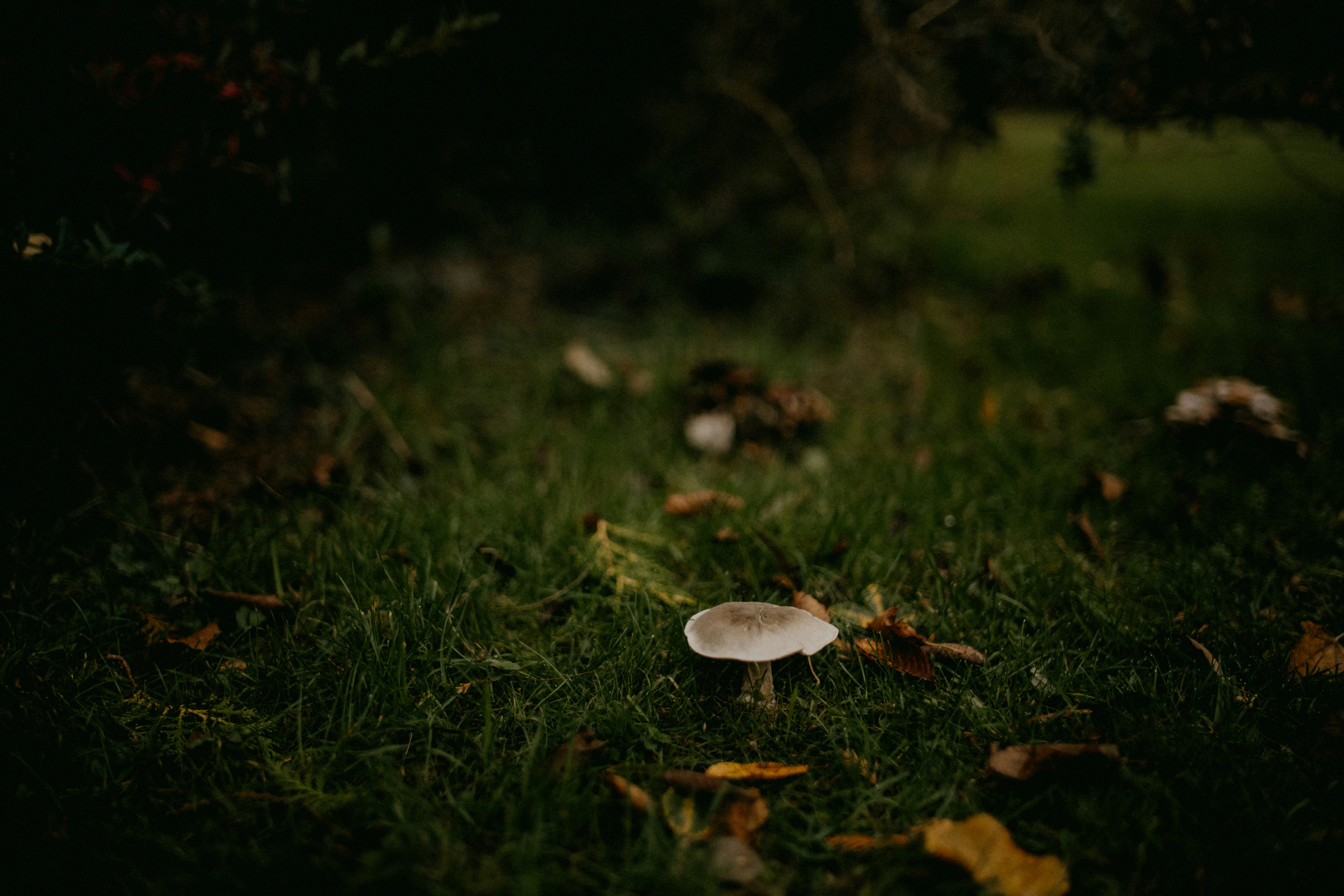 Photo by anniespratt