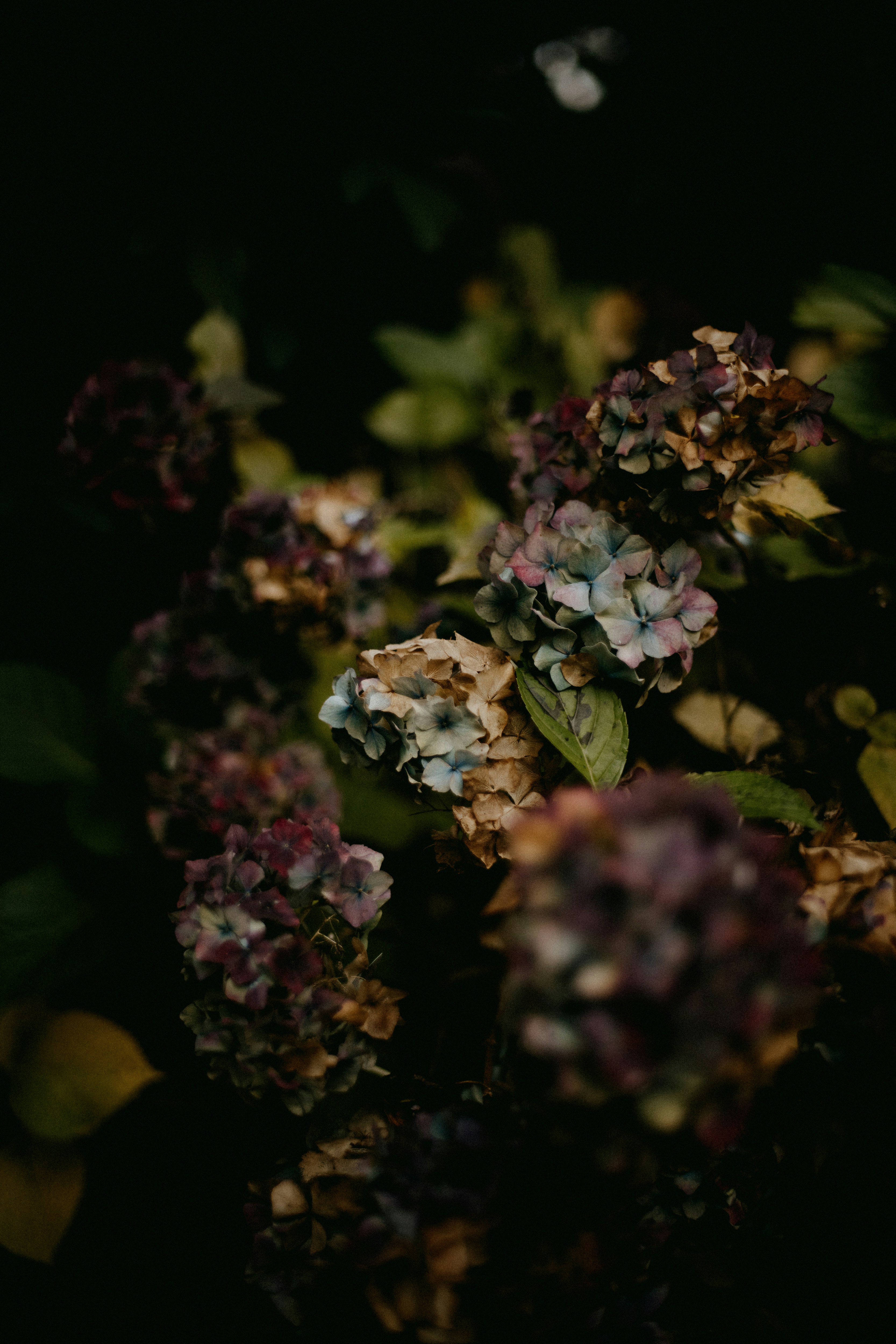 Photo by anniespratt