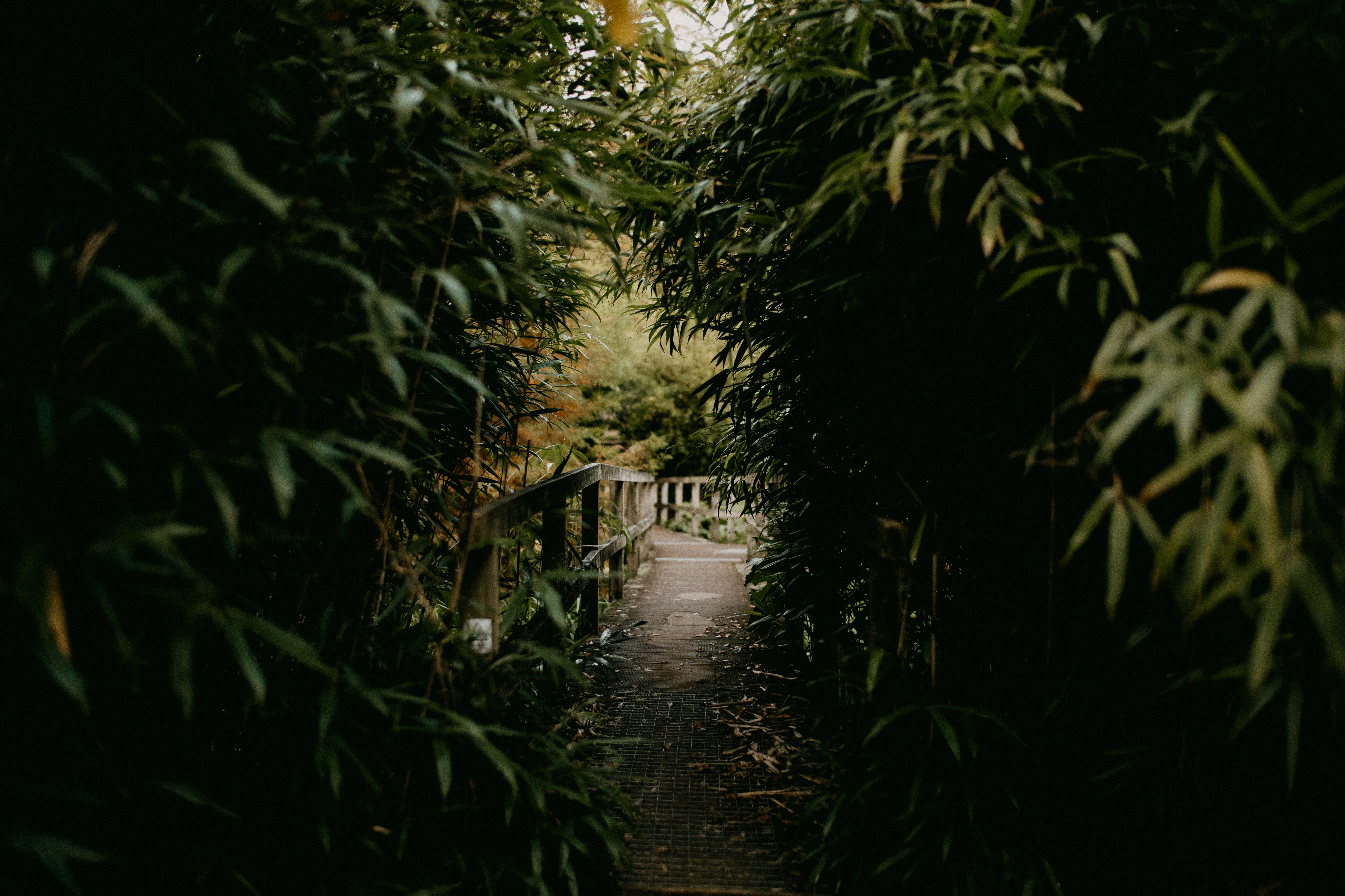 Photo by anniespratt