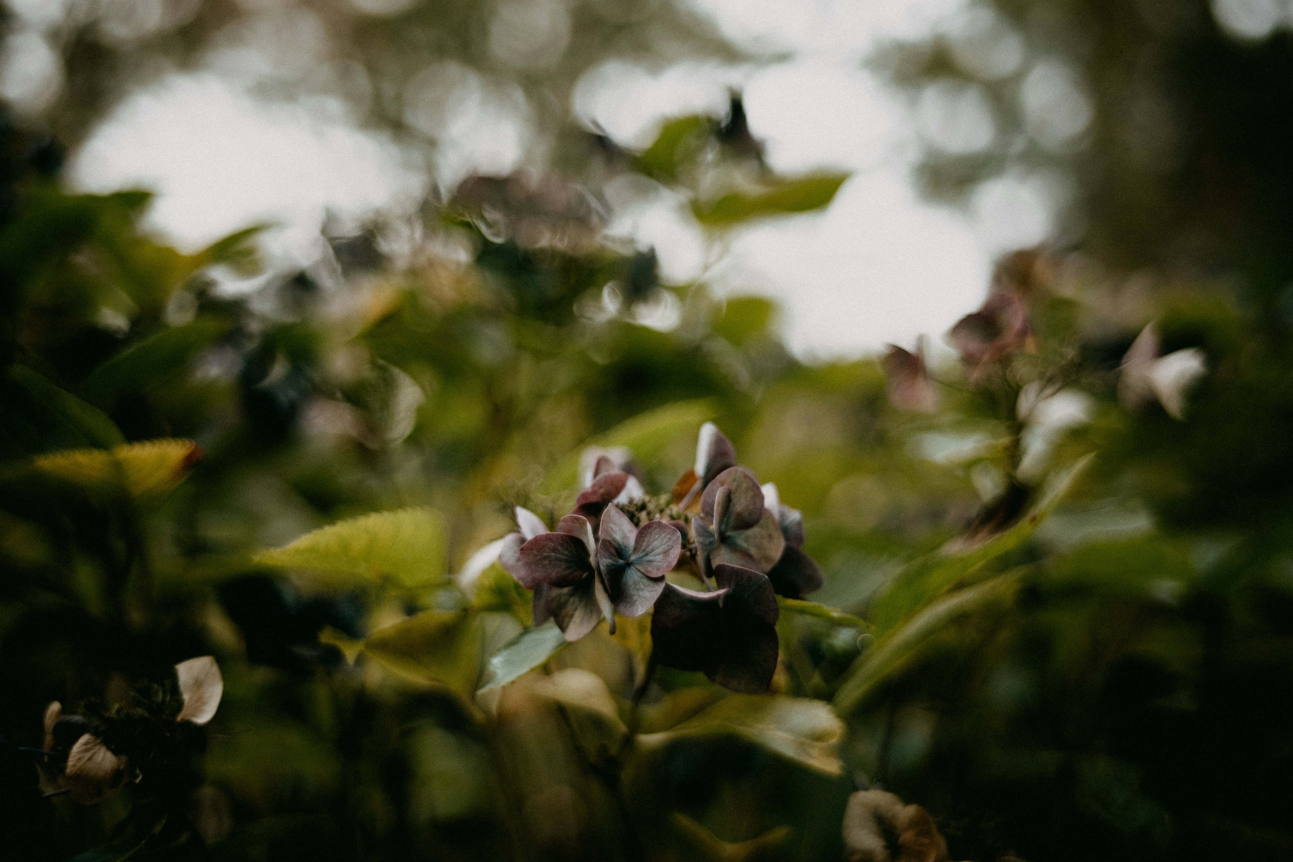 Photo by anniespratt