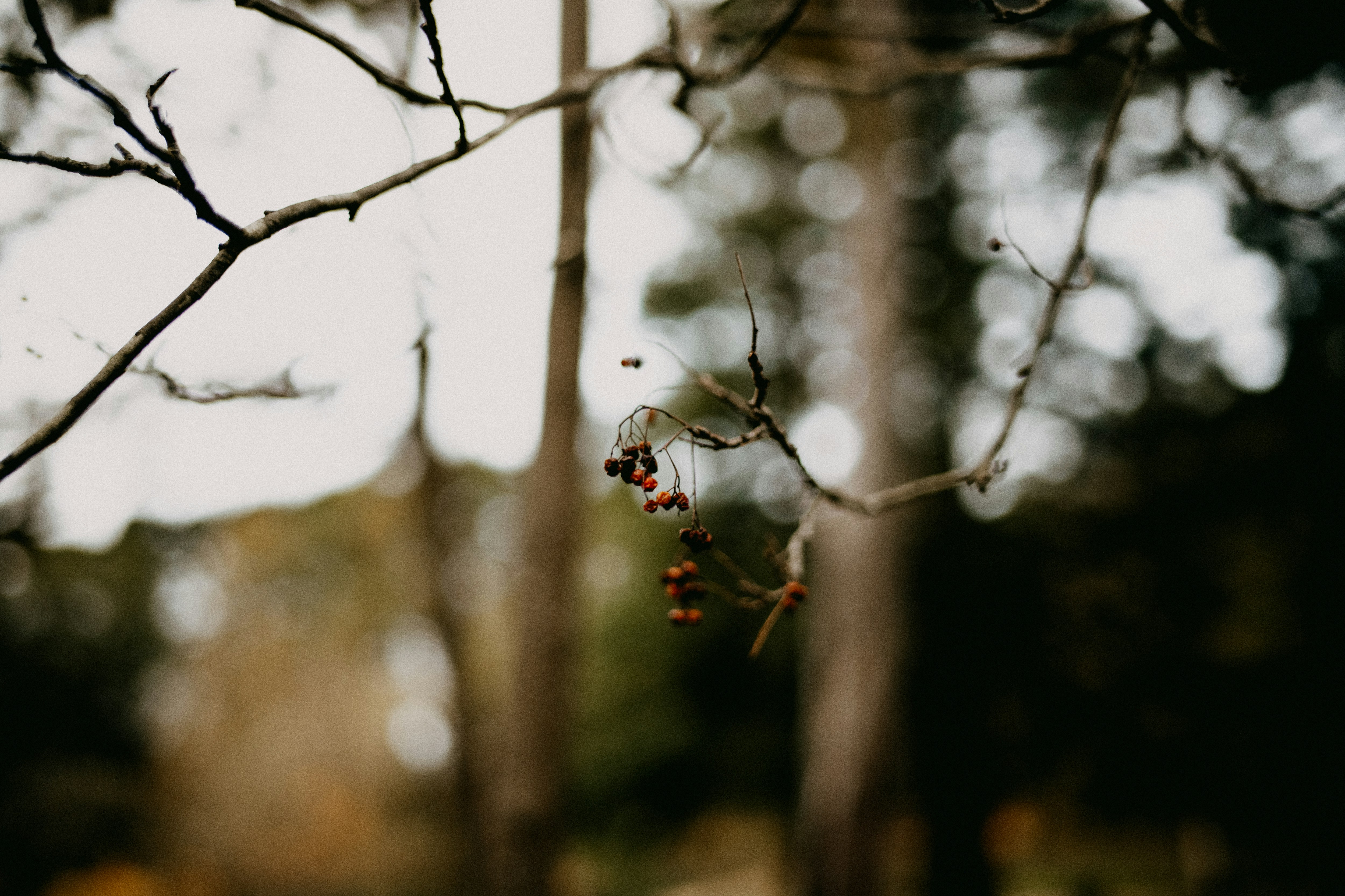 Photo by anniespratt