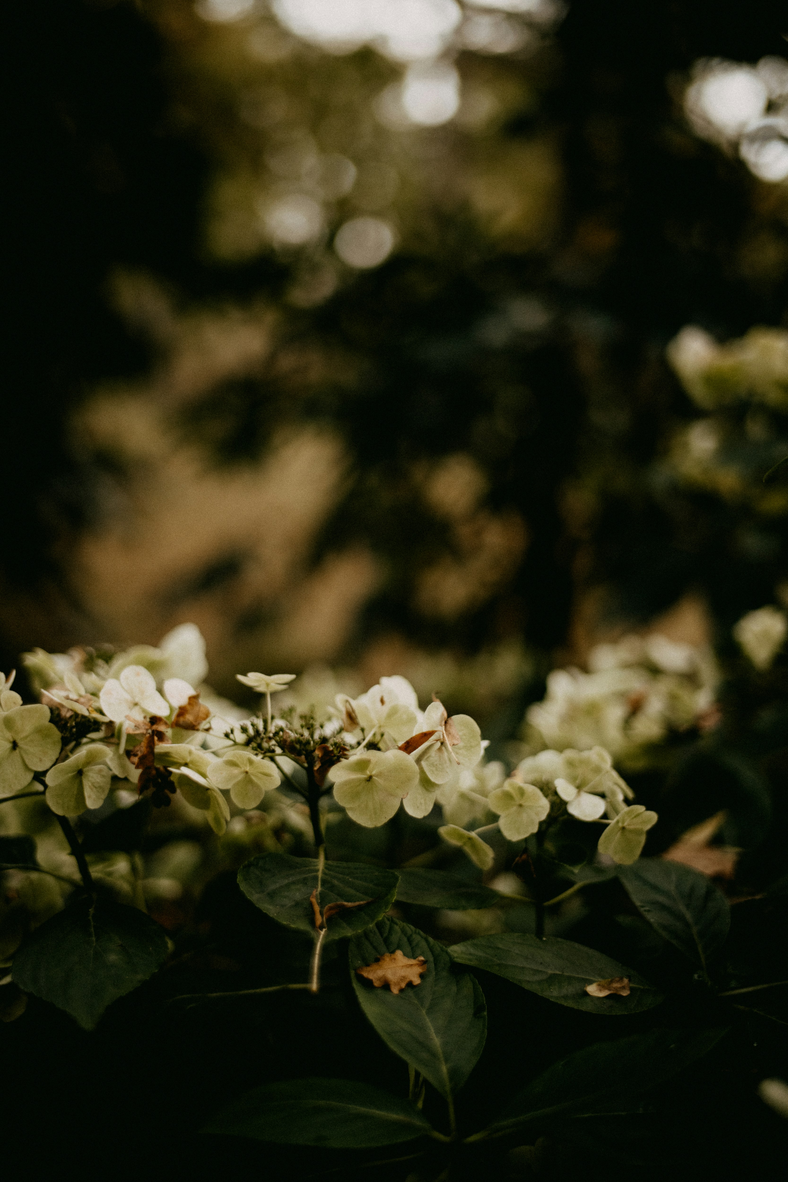 Photo by anniespratt