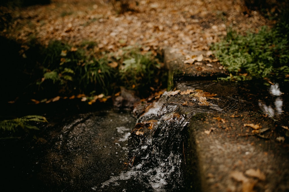 ein Hydrant, der im Dreck sitzt