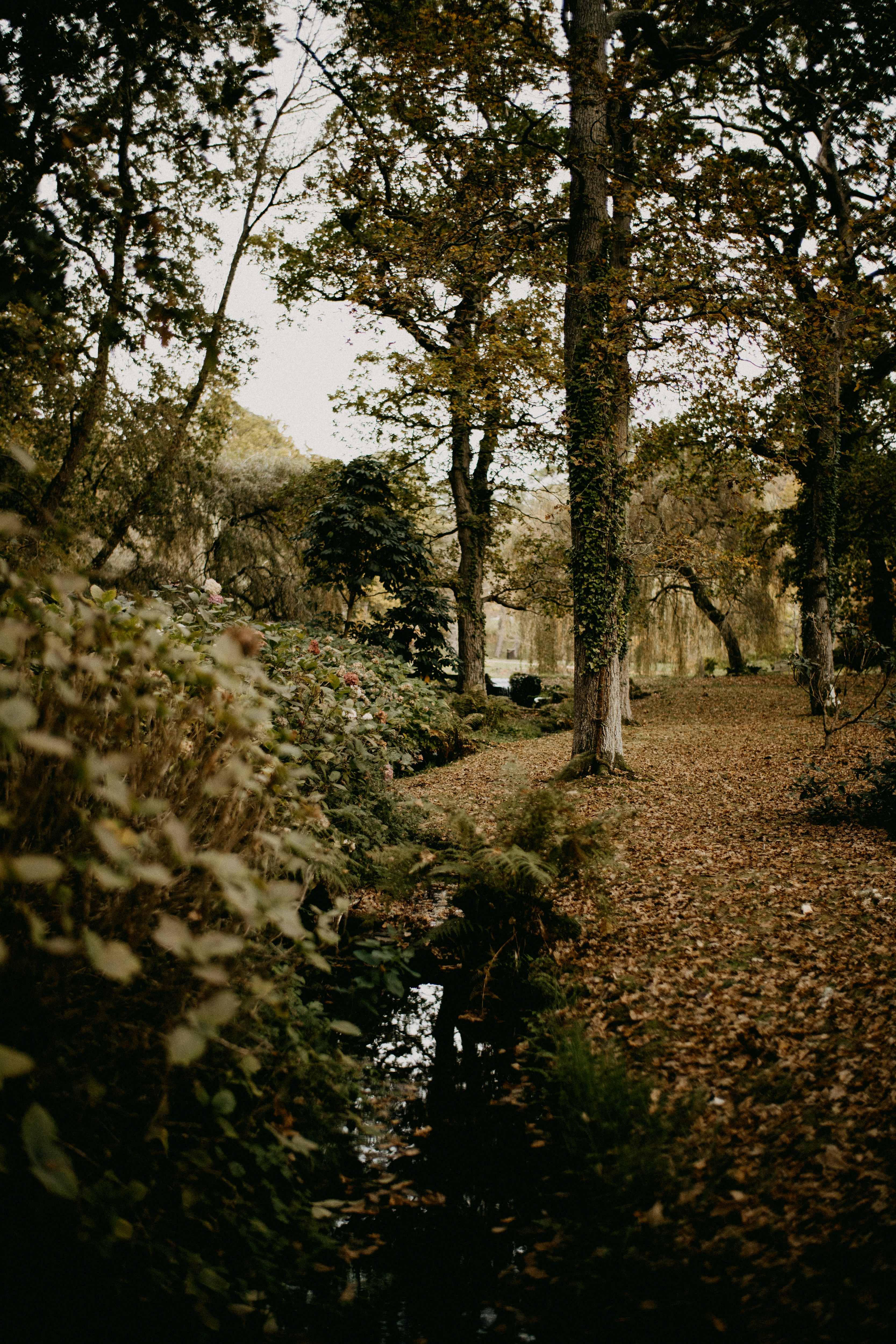 Photo by anniespratt