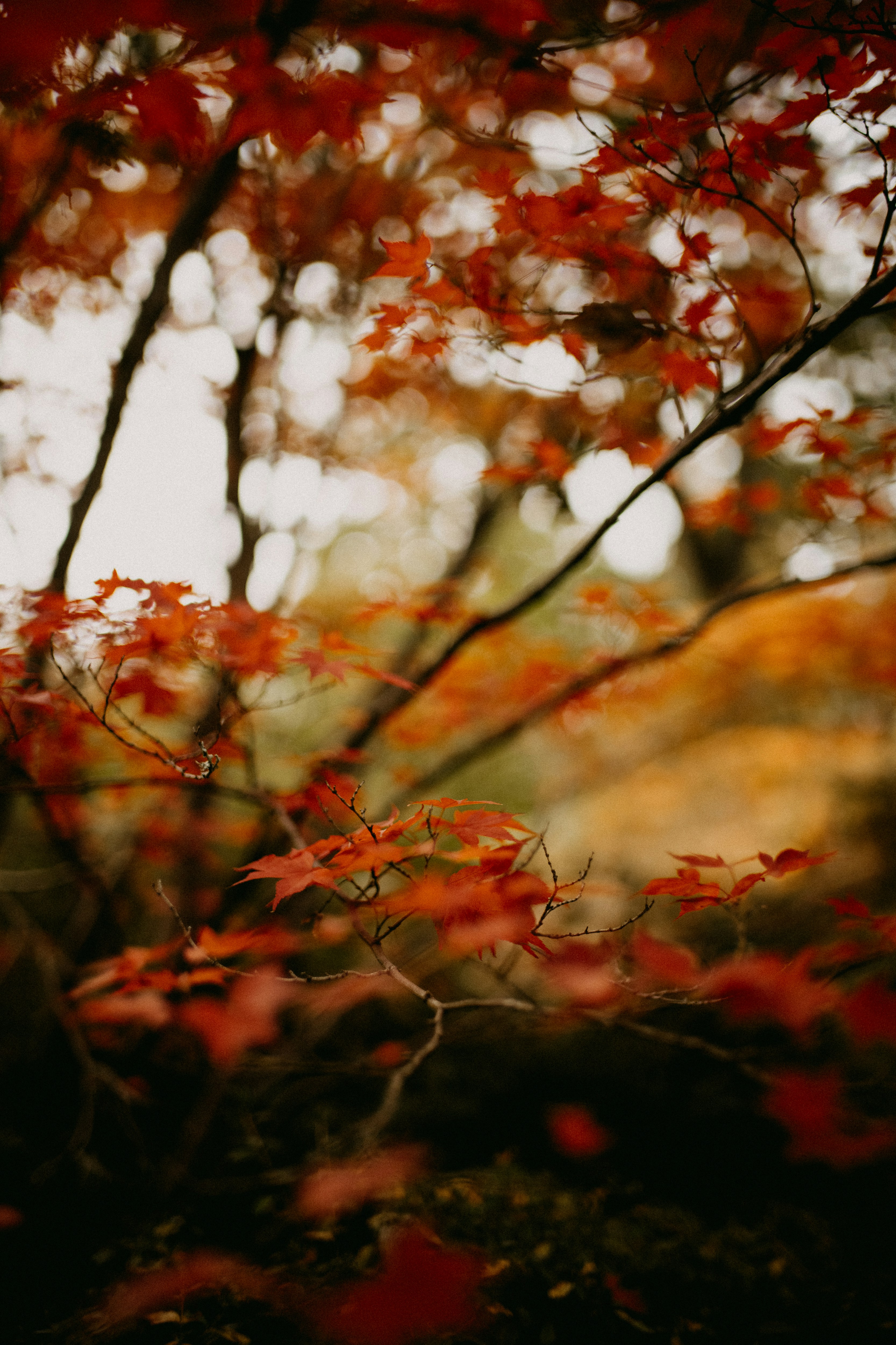 Photo by anniespratt