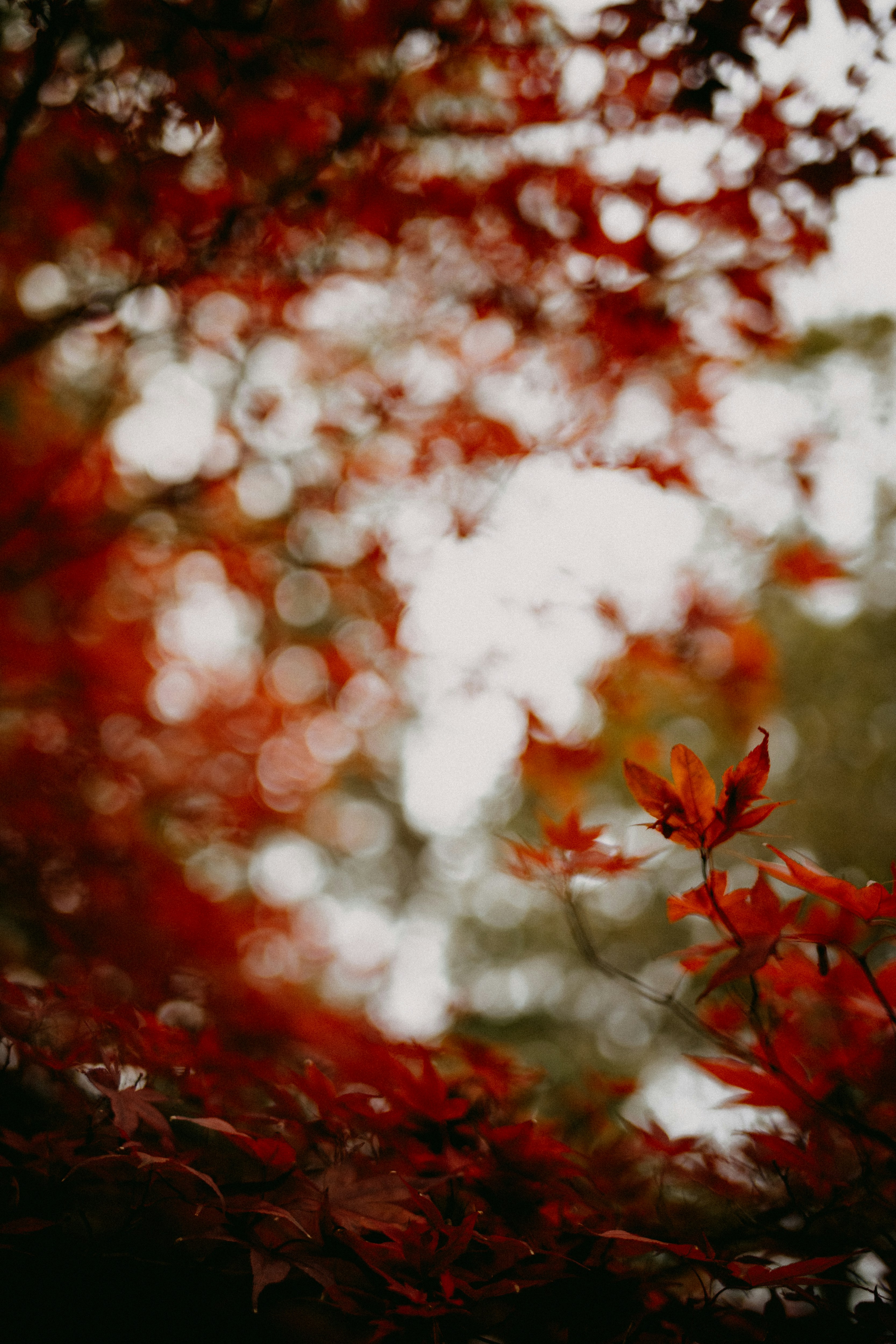 Photo by anniespratt