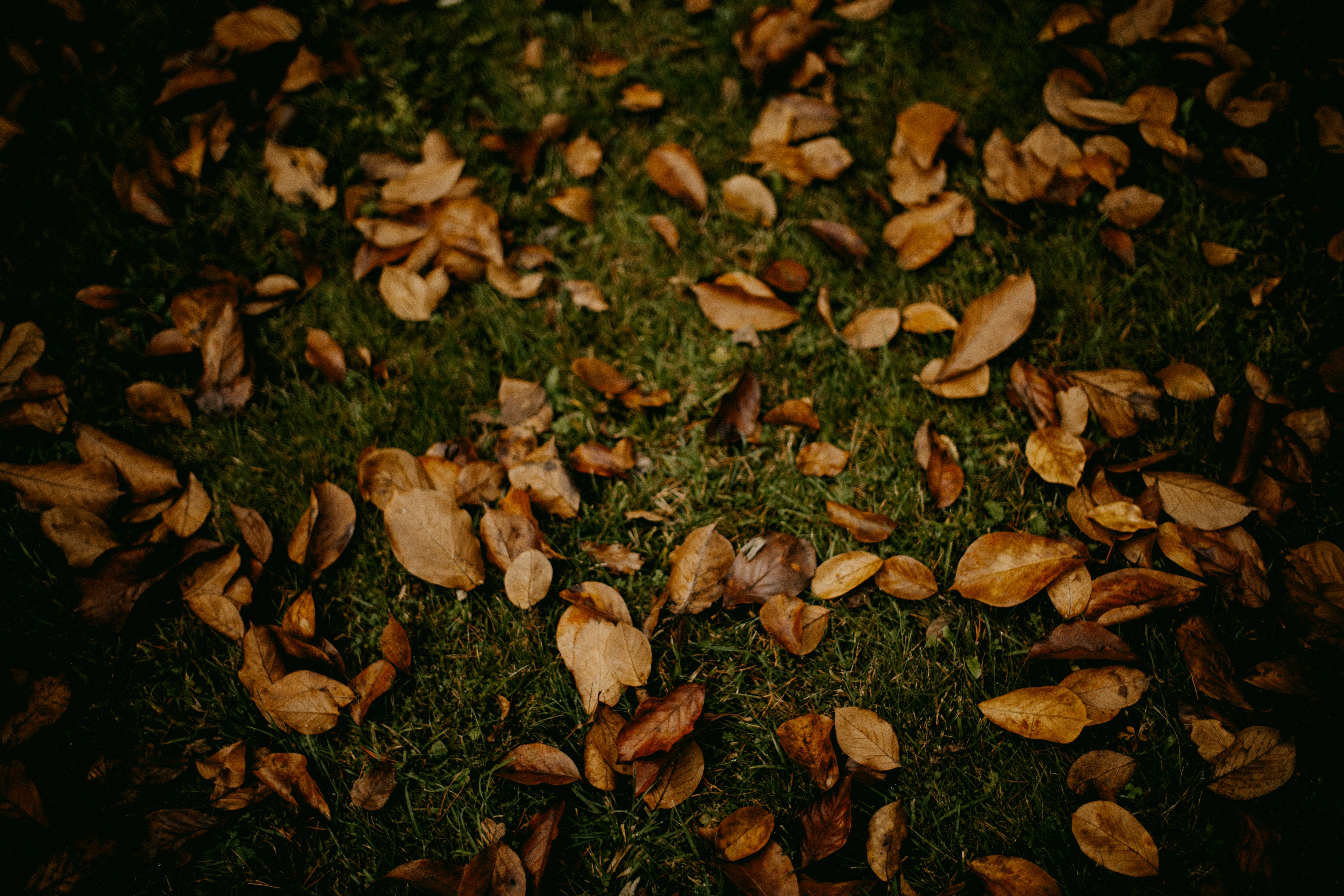 Photo by anniespratt