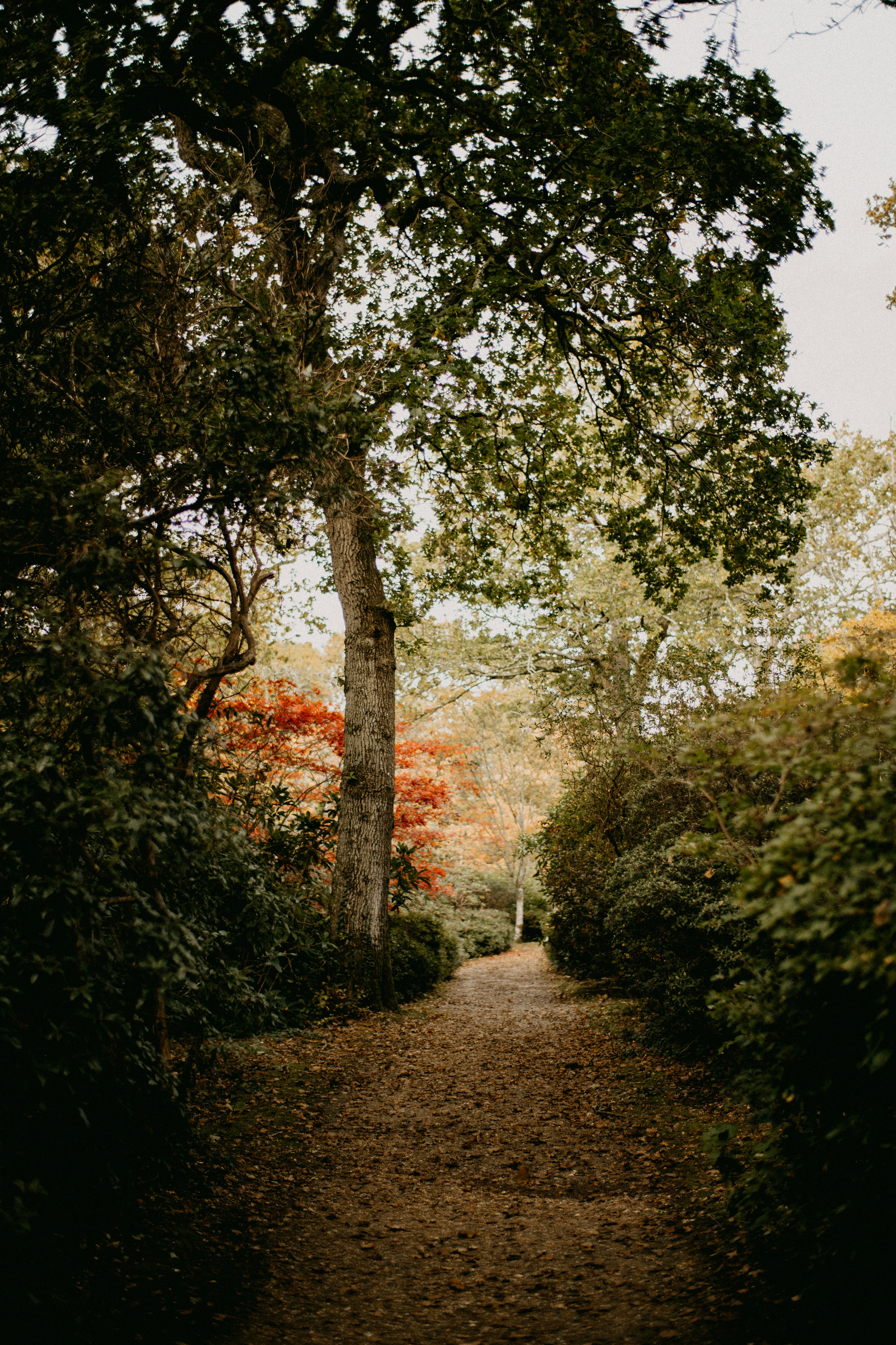 Photo by anniespratt