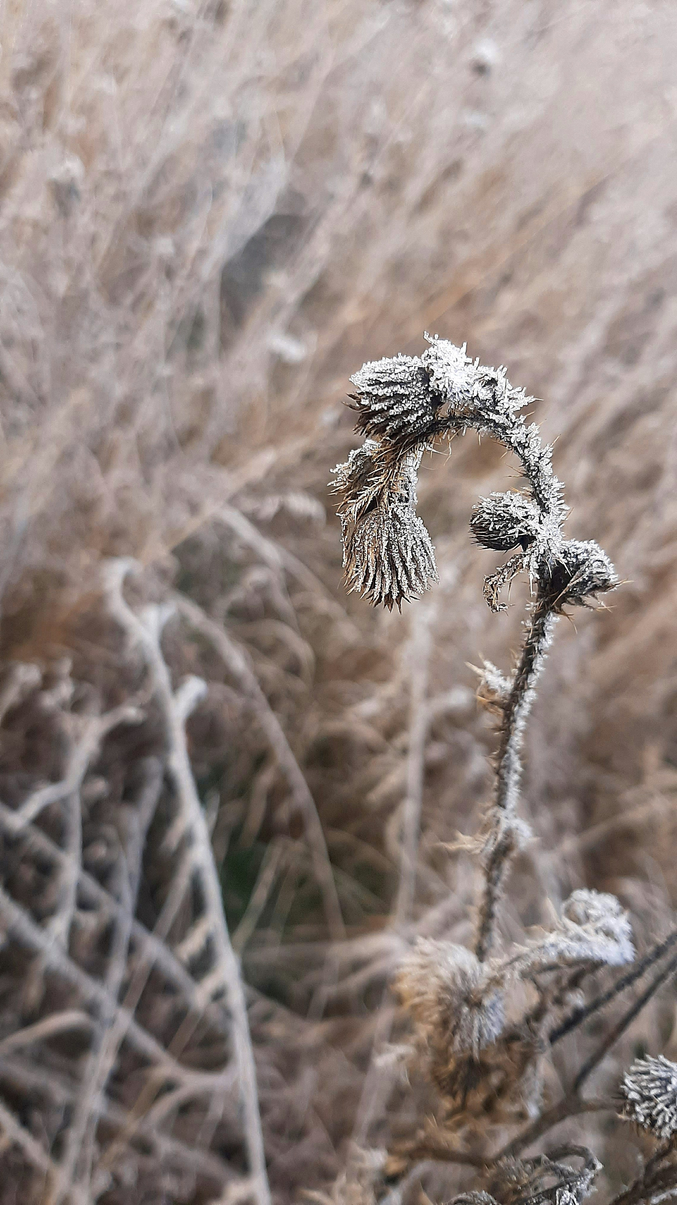 Photo by hannapisareve